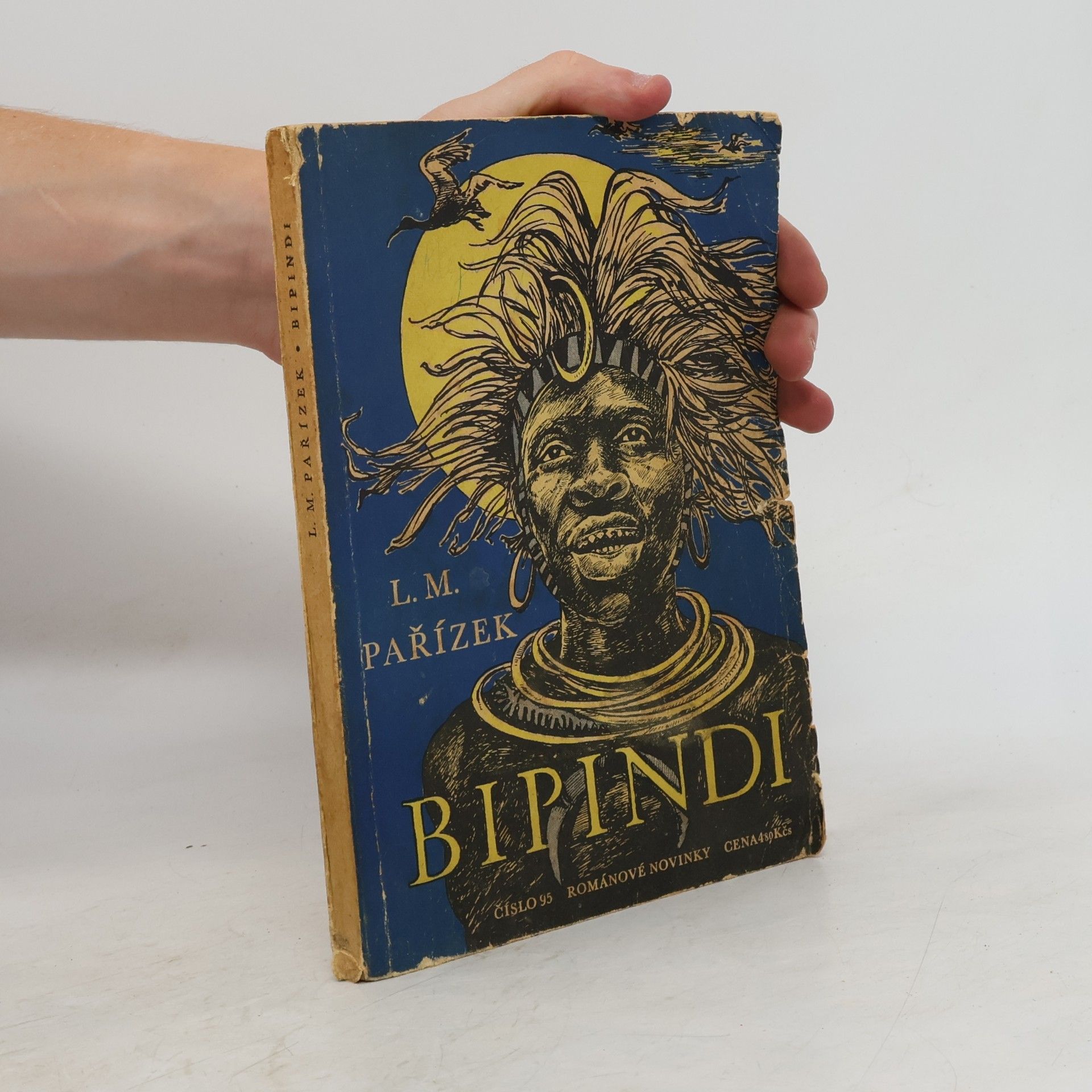 Bipindi