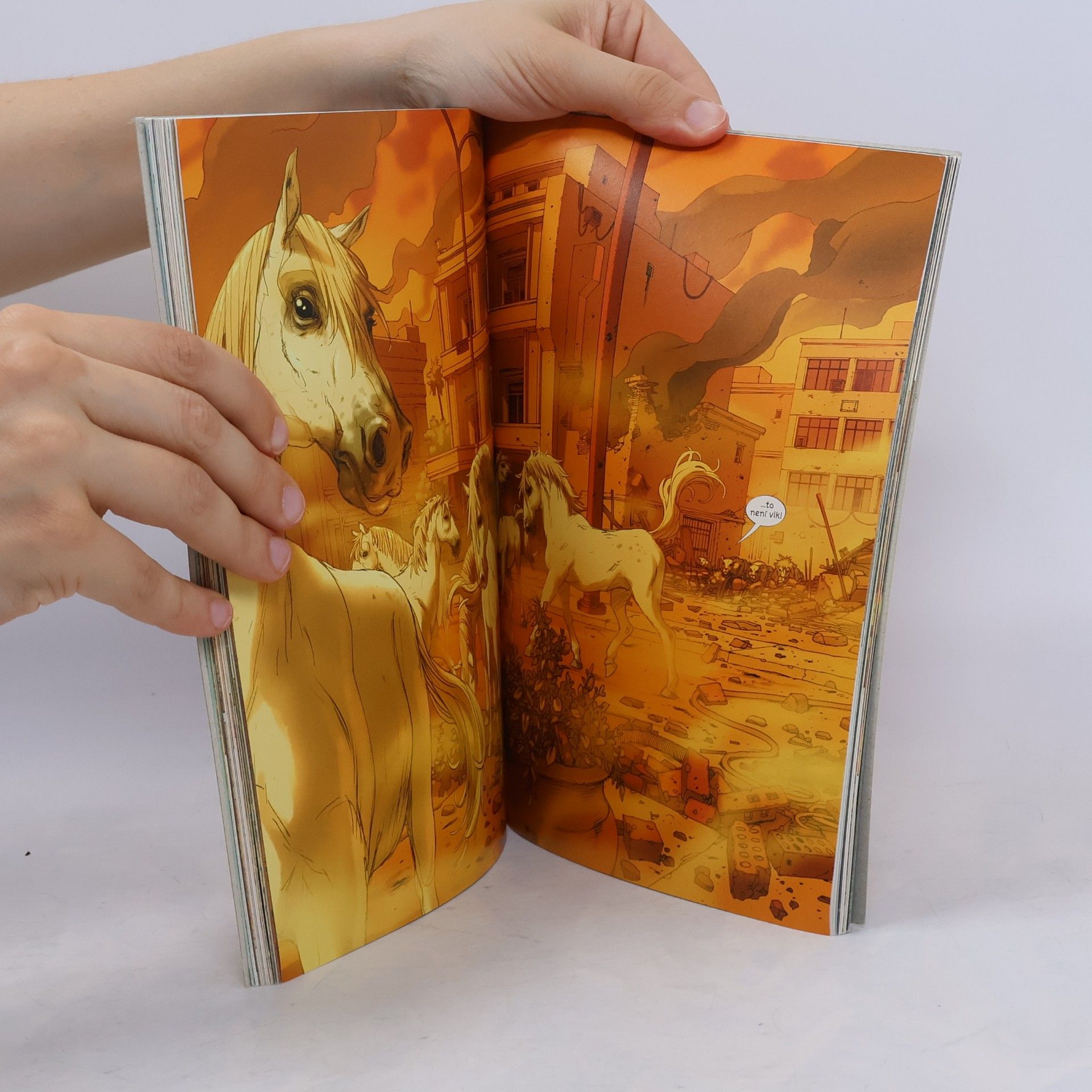 Brian K. Vaughan Smečka z Bagdádu