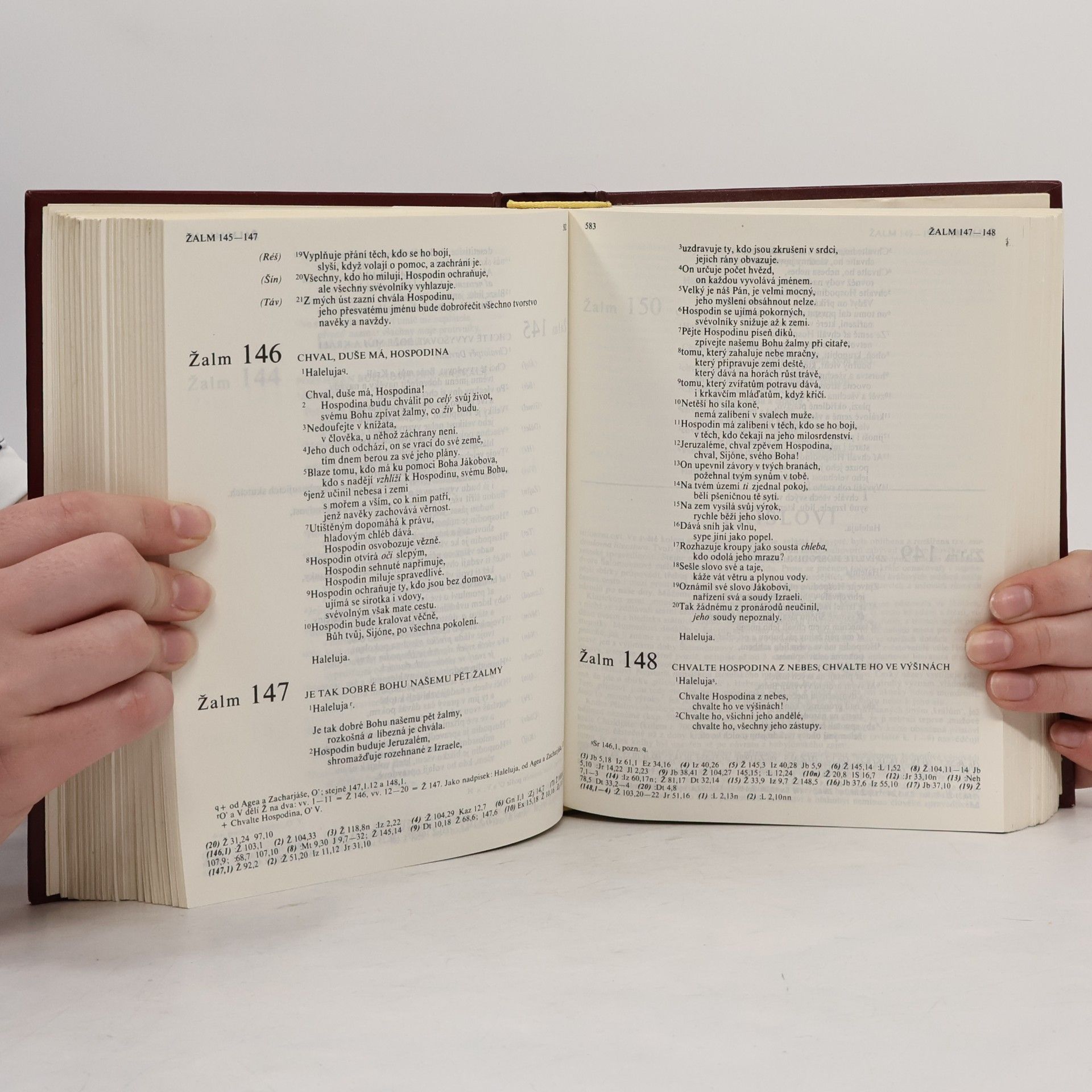 Autorenkollektiv Bible. Písmo svaté Starého a Nového zákona