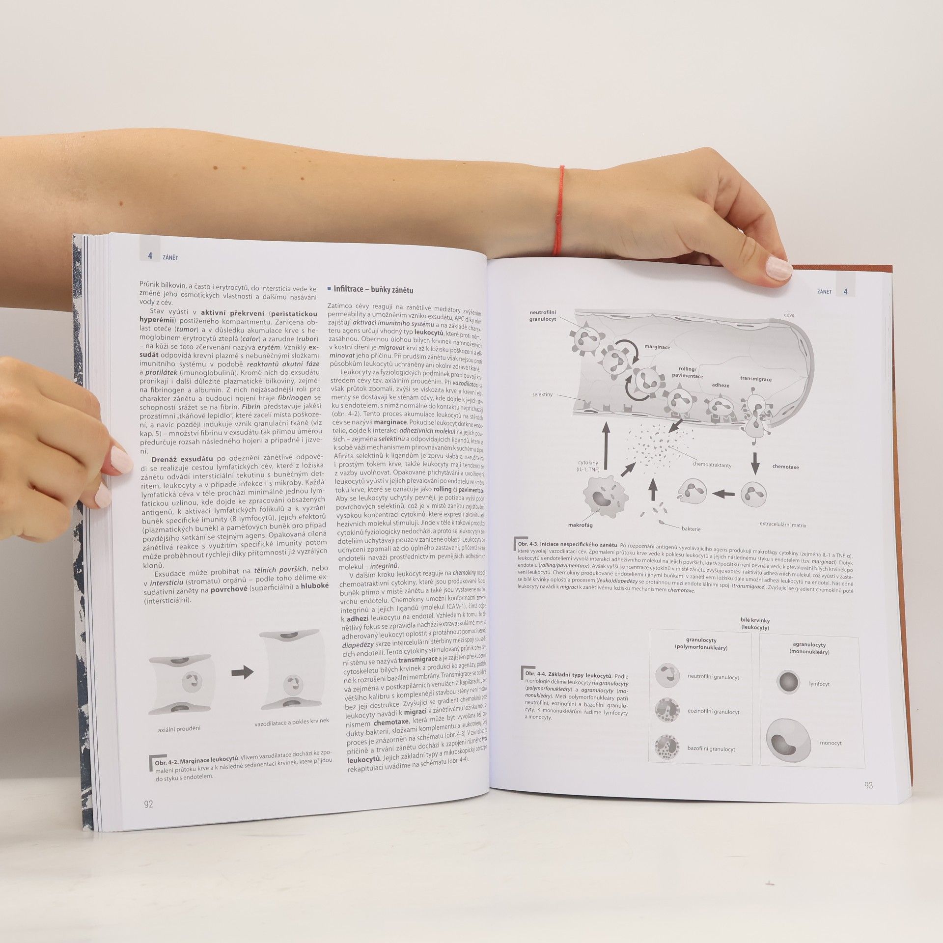 Josef K. Zámečník Patologie 1- 3