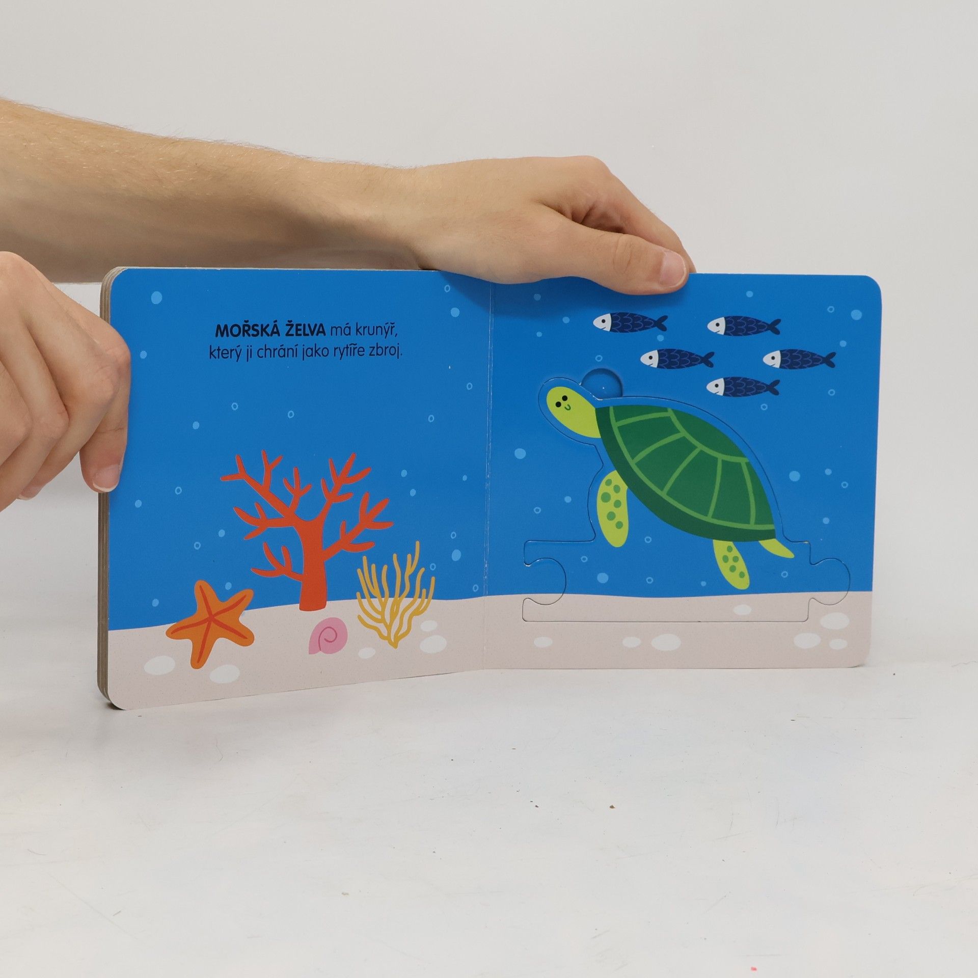 Beatrice Tinarelli Moře : knížka s puzzle
