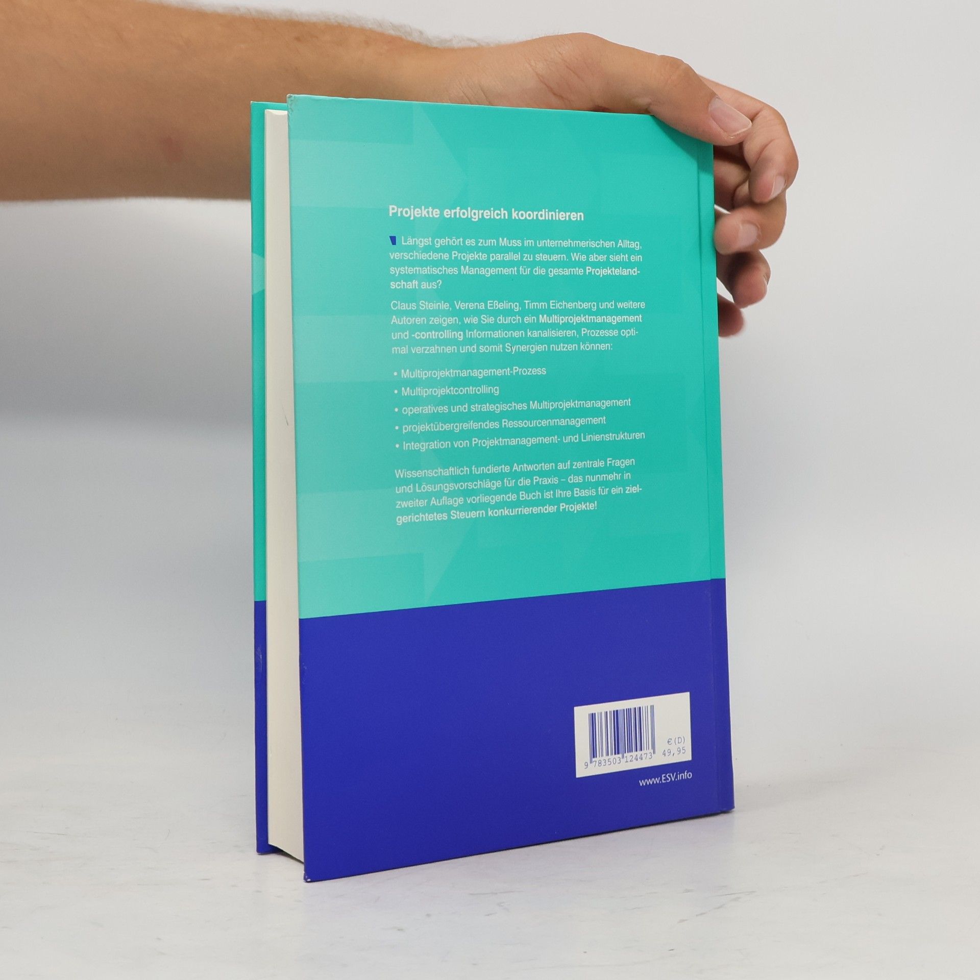 Claus Steinle Handbuch Multiprojektmanagement und -controlling
