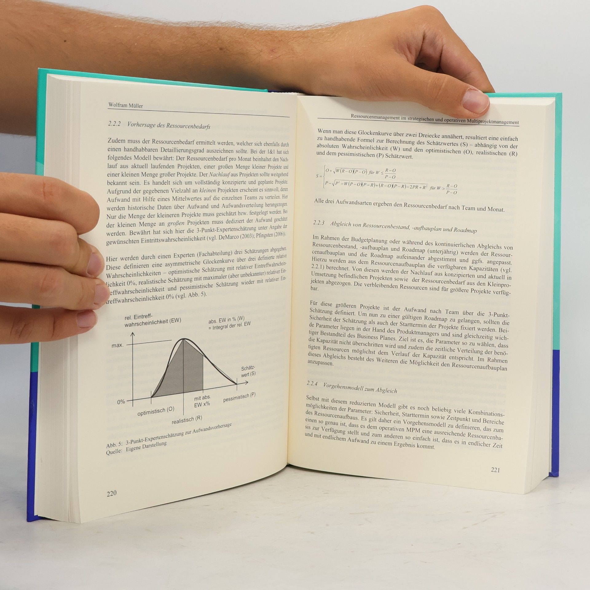 Claus Steinle Handbuch Multiprojektmanagement und -controlling