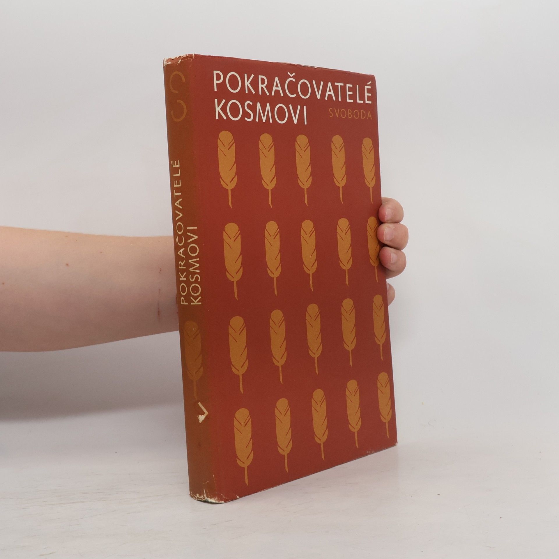Pokračovatelé Kosmovi