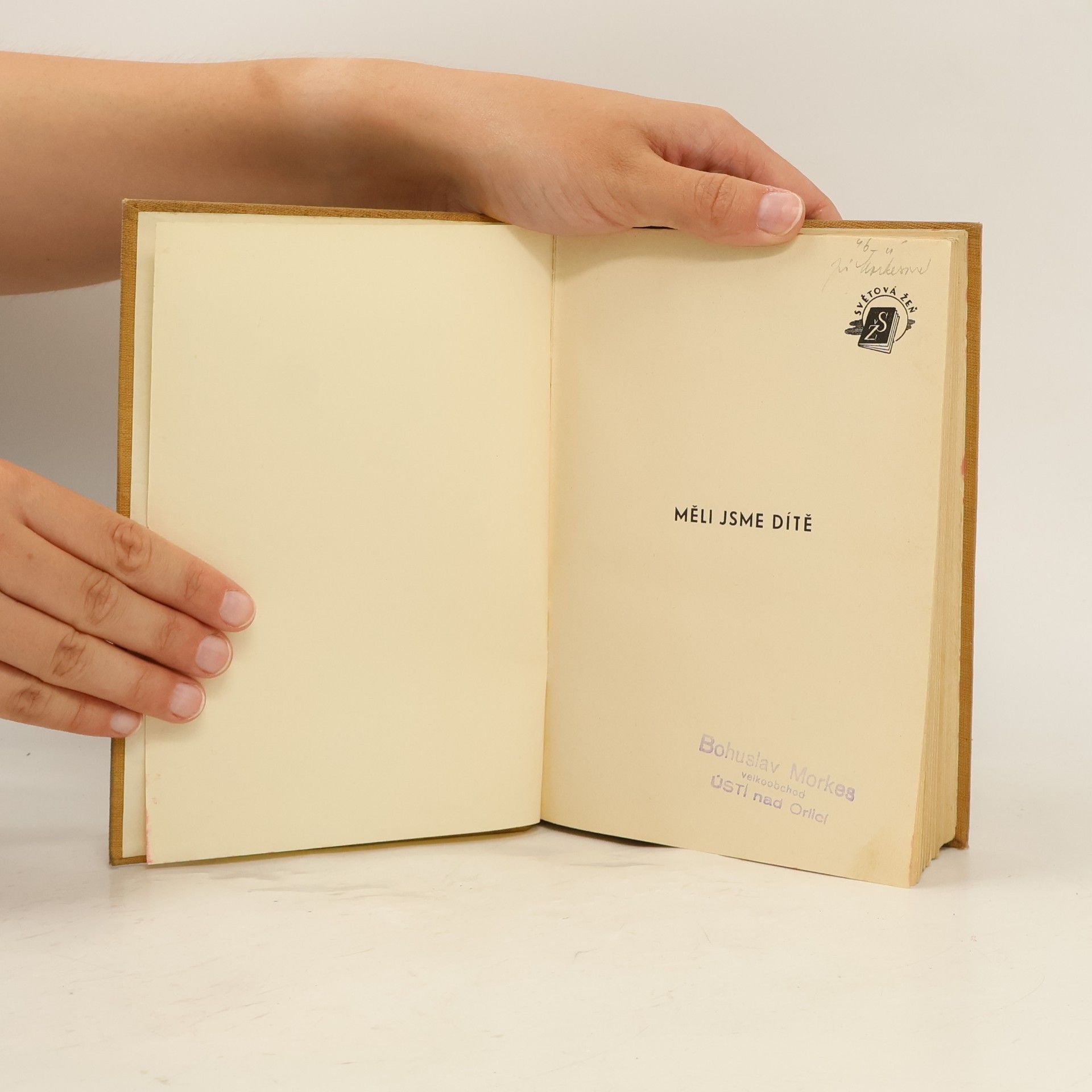Hans Fallada Měli jsme dítě. Wir hatten mal ein Kind