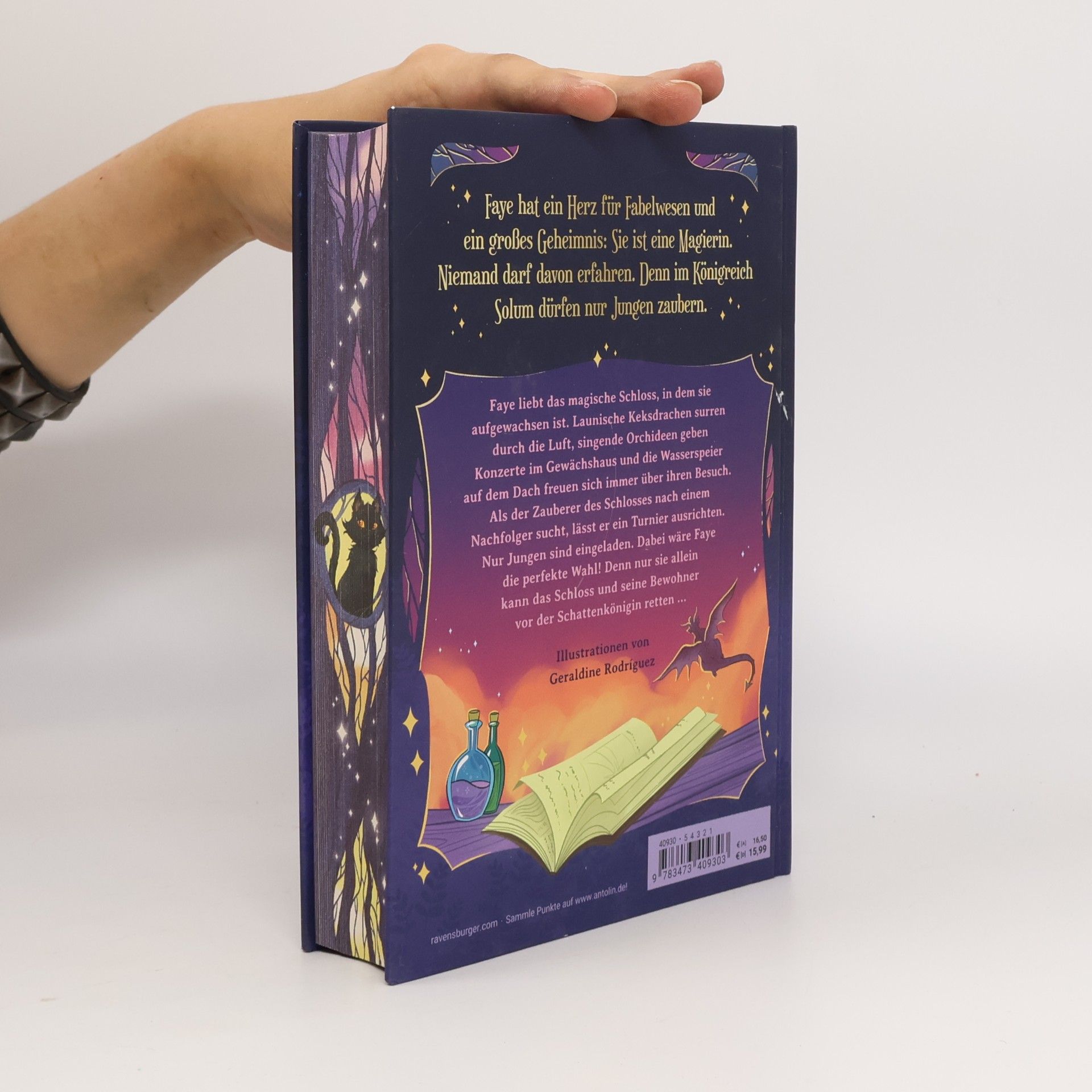 Ryan Graudin Faye Fableheart - 1: Das magische Schloss