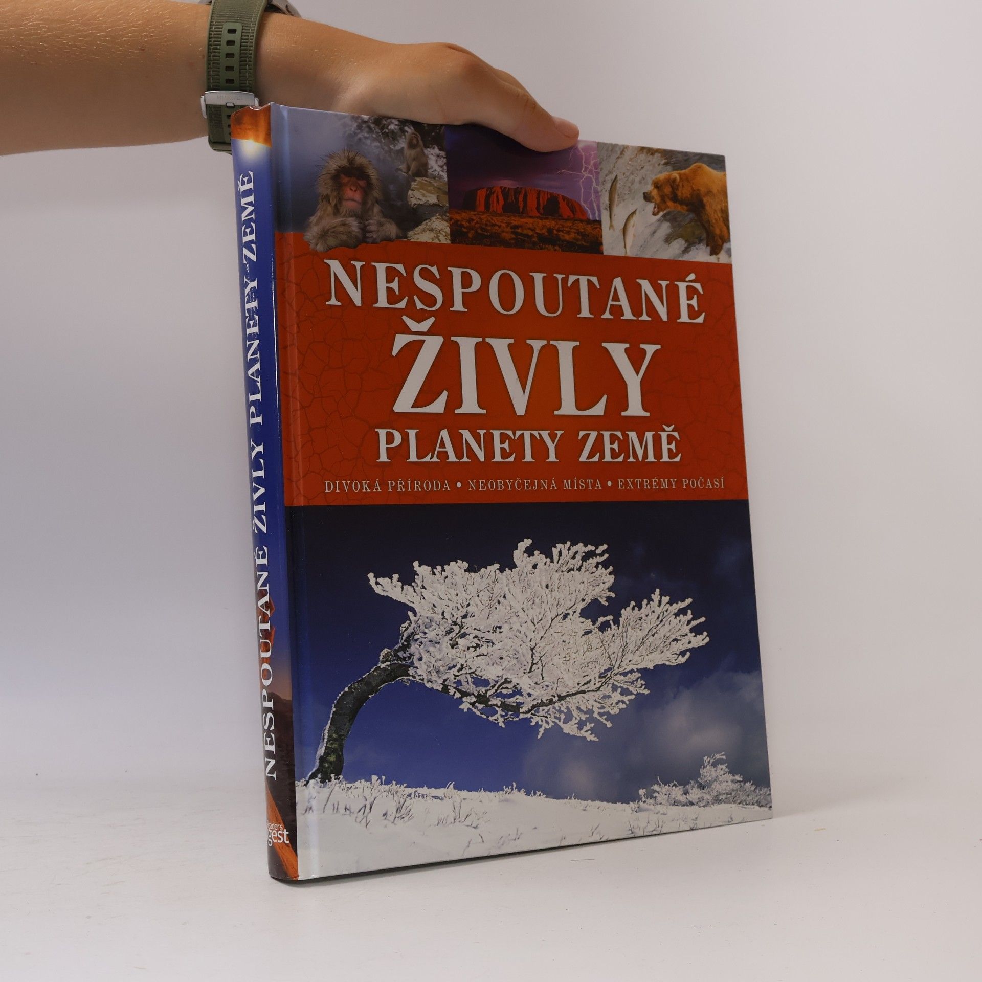 Nespoutané živly planety Země