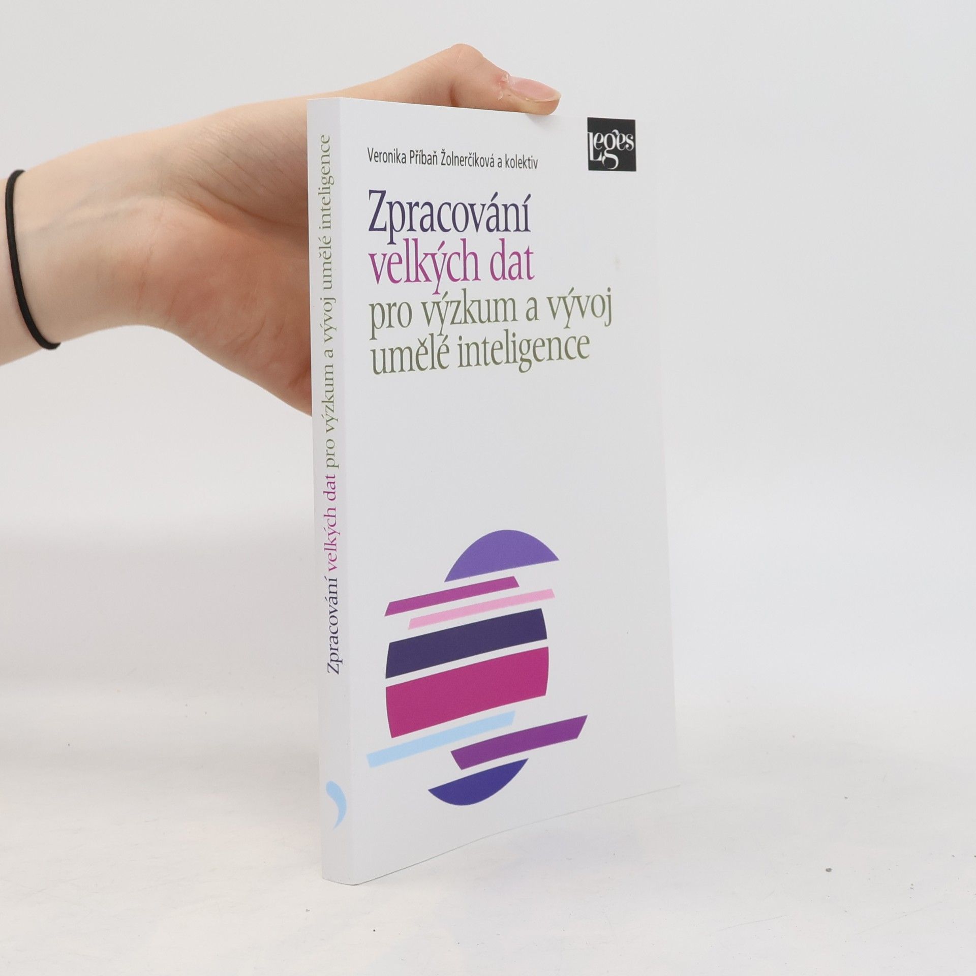 Veronika Přibáň Žolnerčíková Zpracování velkých dat pro výzkum a vývoj umělé inteligence (2025)