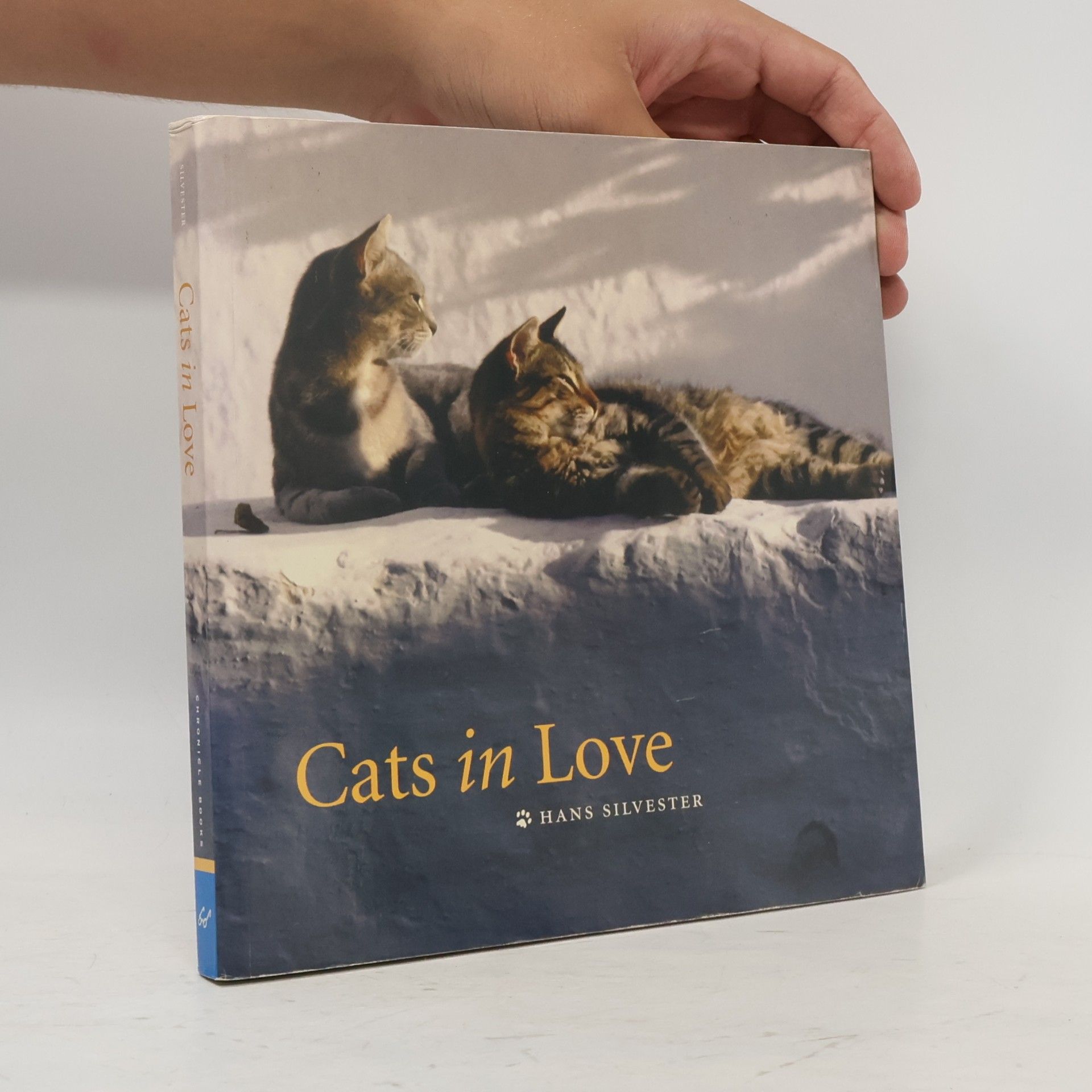 Cats in Love