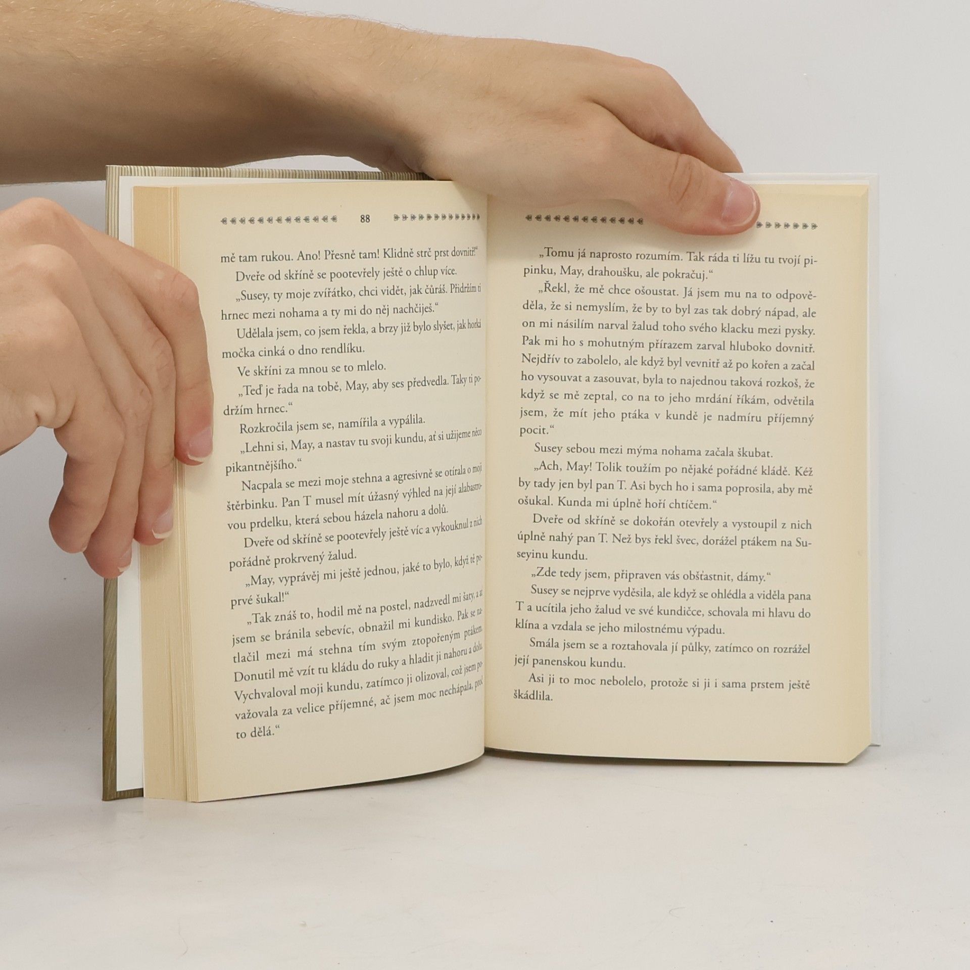 Autorenkollektiv Z rodinné kroniky Lady Fuckingham