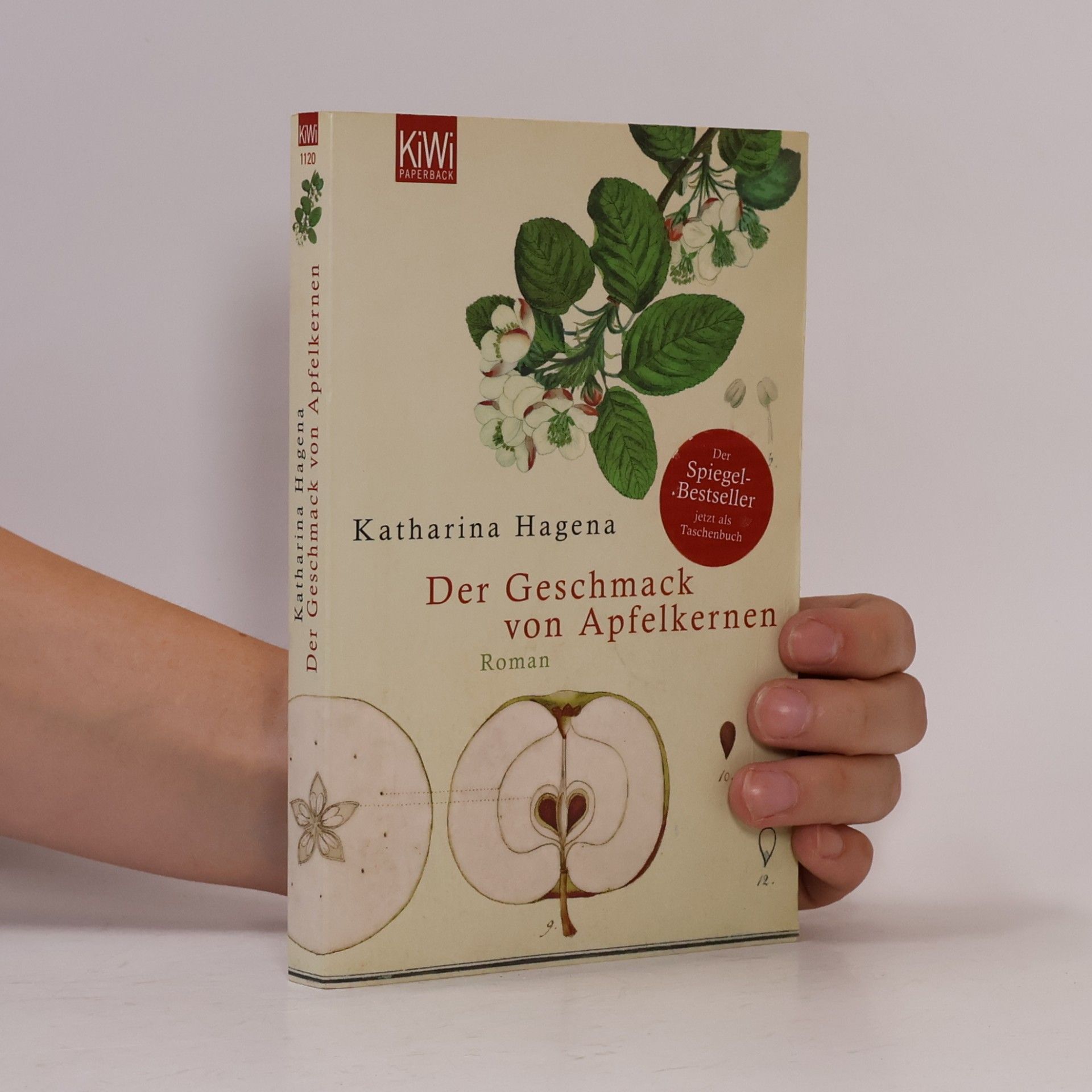 Katharina Hagena Der Geschmack von Apfelkernen