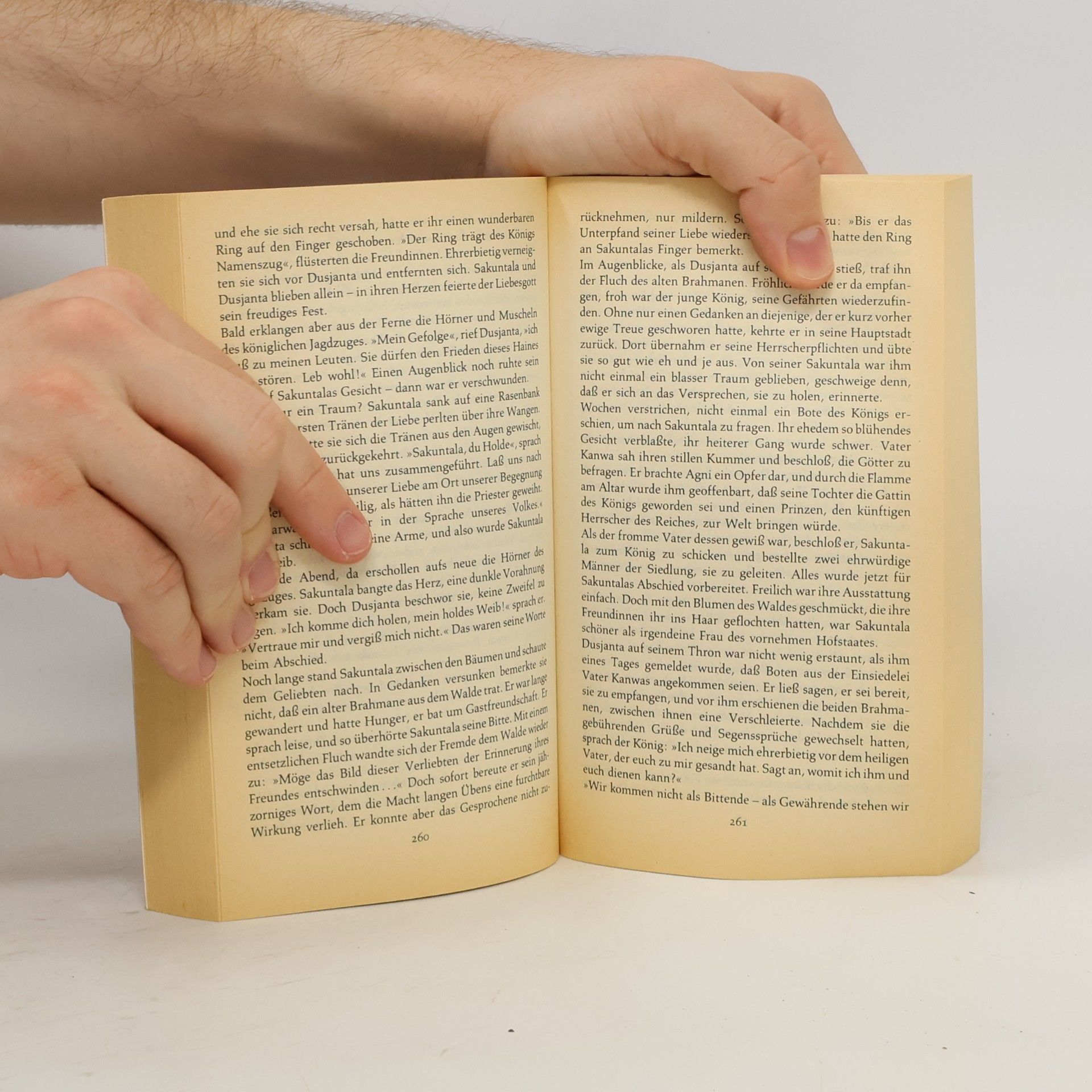 Franz Rottensteiner Das grosse Buch der Märchen, Sagen und Gespenster