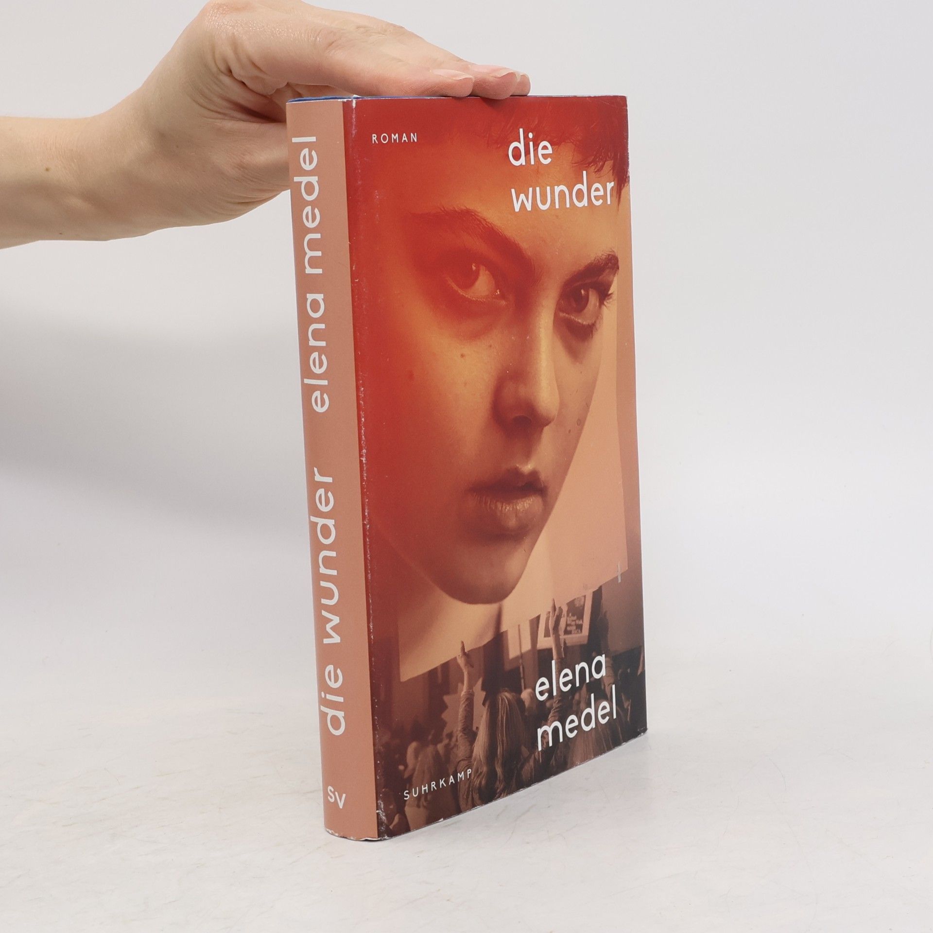 Elena Medel Die Wunder