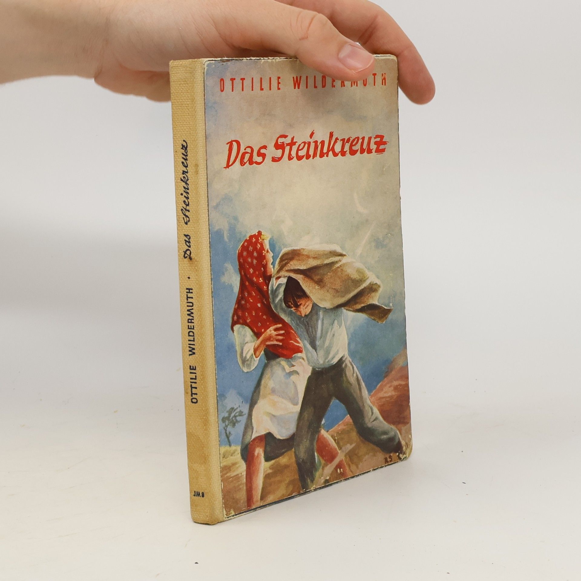 Ottilie Wildermuth Das Steinkreuz