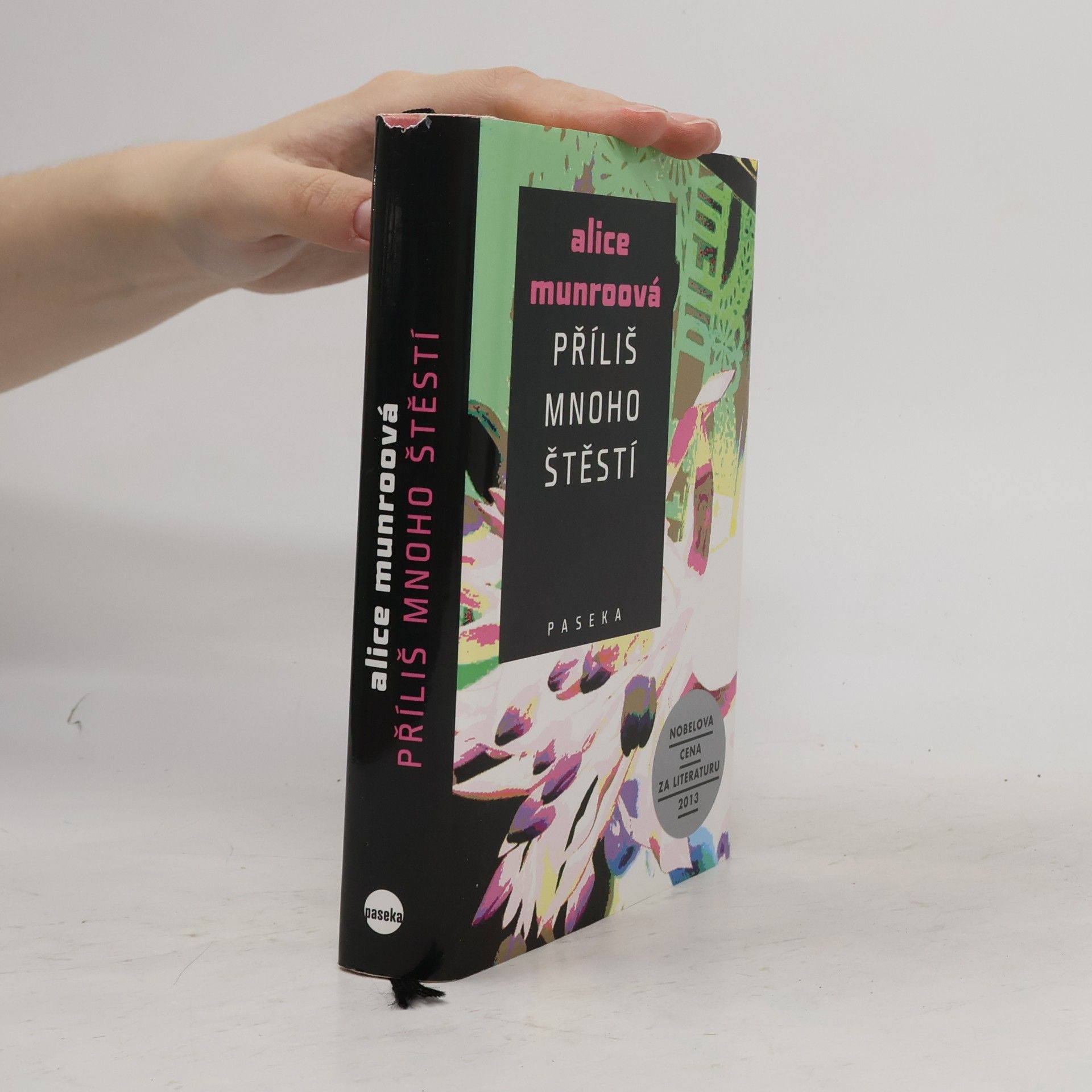 Alice Munro Příliš mnoho štěstí