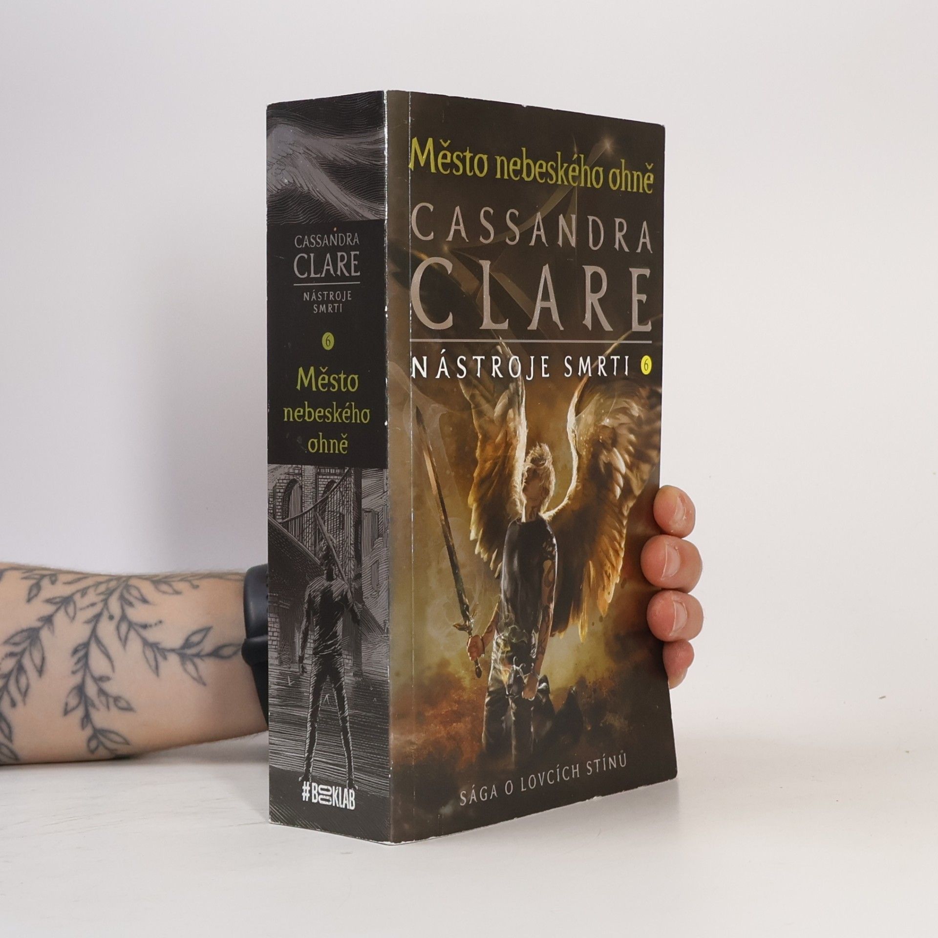 Cassandra Clare Nástroje smrti 6: Město nebeského ohně