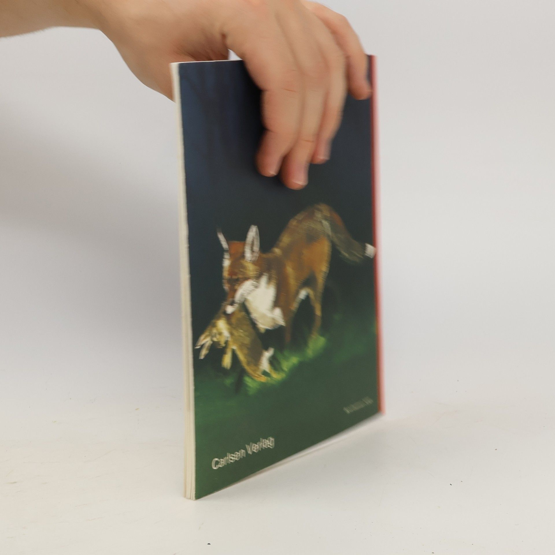 Erste Sachbücher - 5: Nützliche und schädliche Tiere