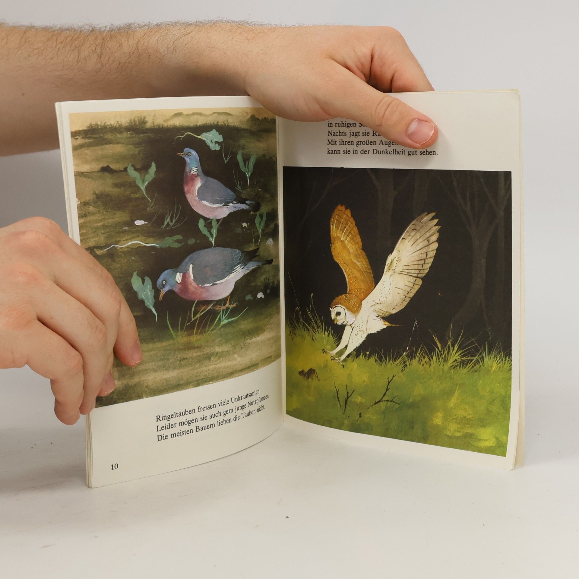 Erste Sachbücher - 5: Nützliche und schädliche Tiere