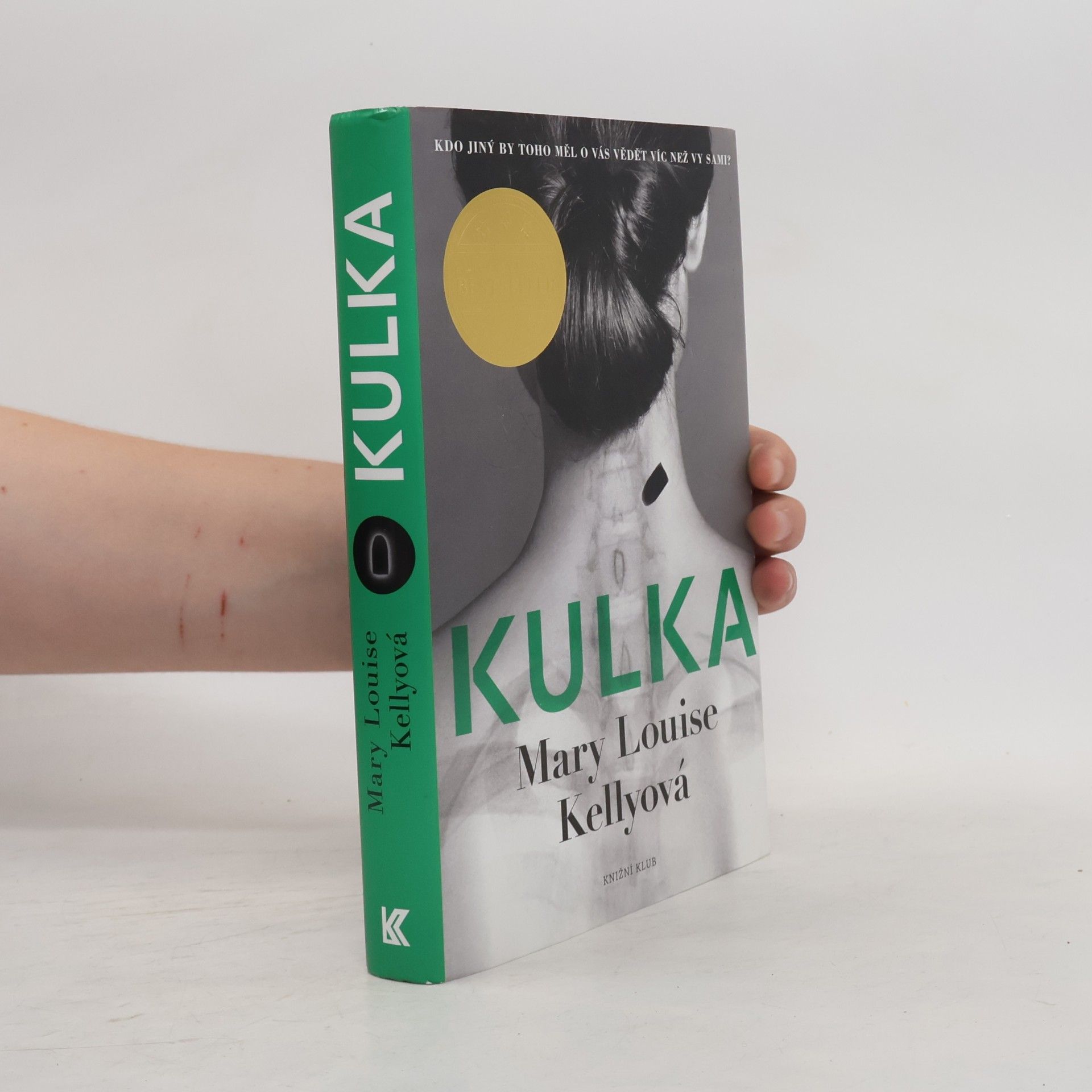 Mary Louise Kelly Kulka