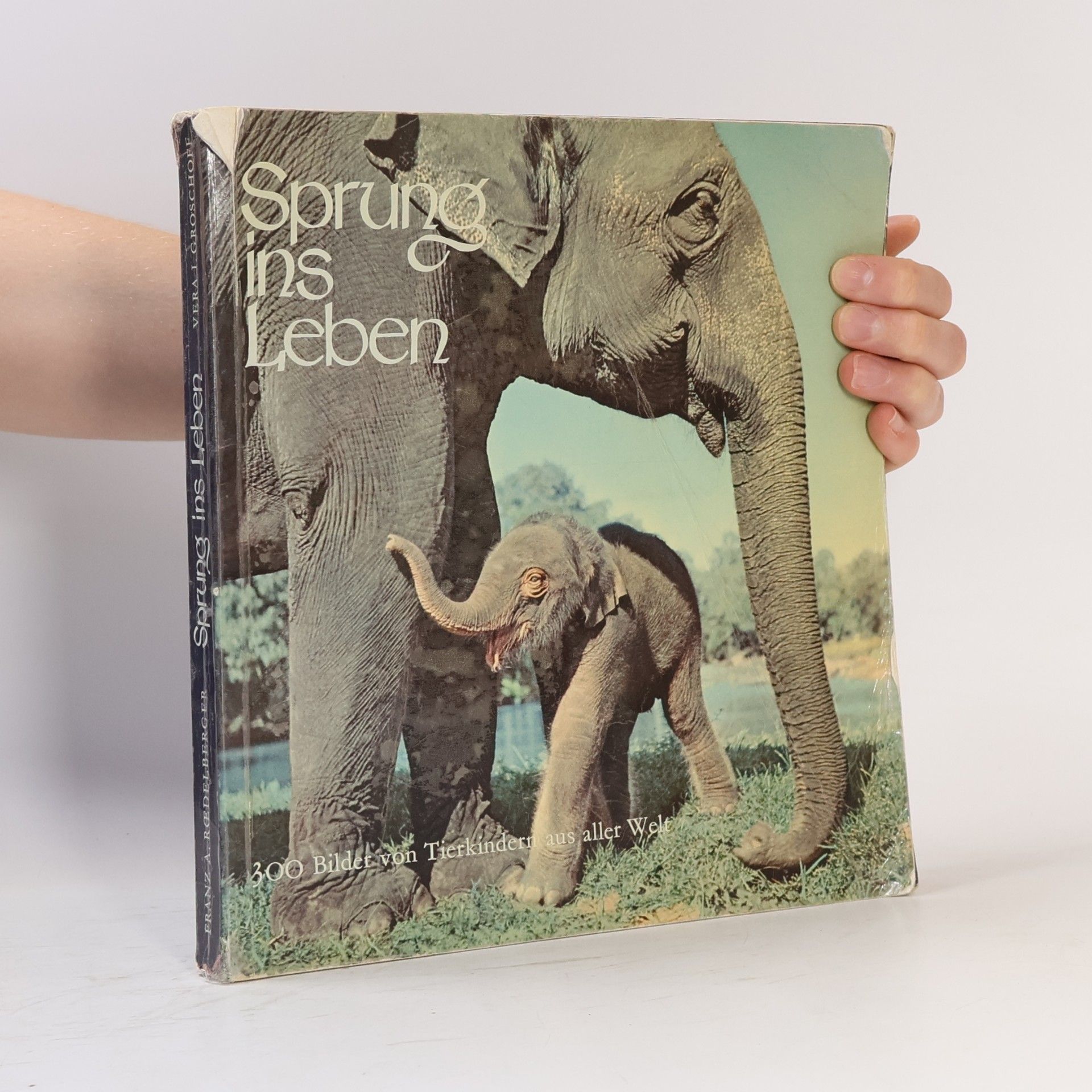 Roe Delberger Sprung ins Leben