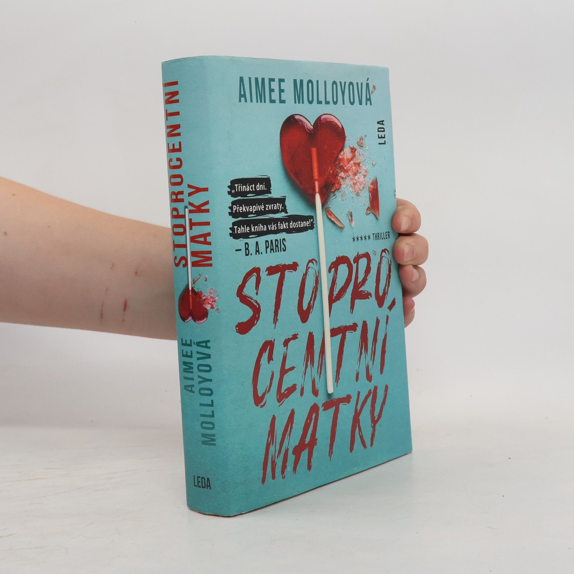 Aimee Molloy Stoprocentní matky