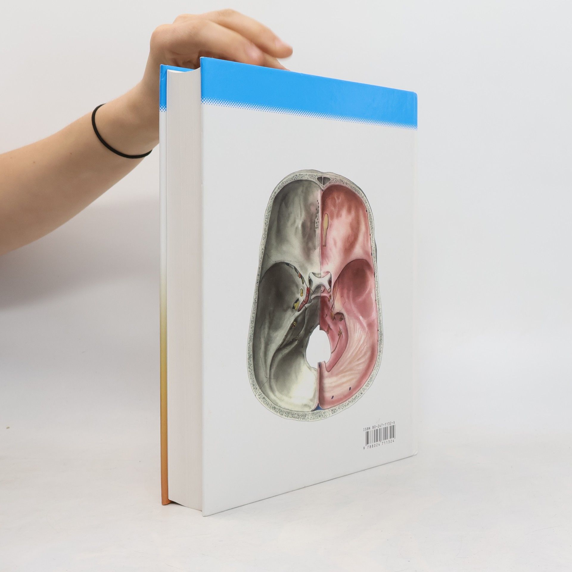 Radomír Čihák Anatomie 3