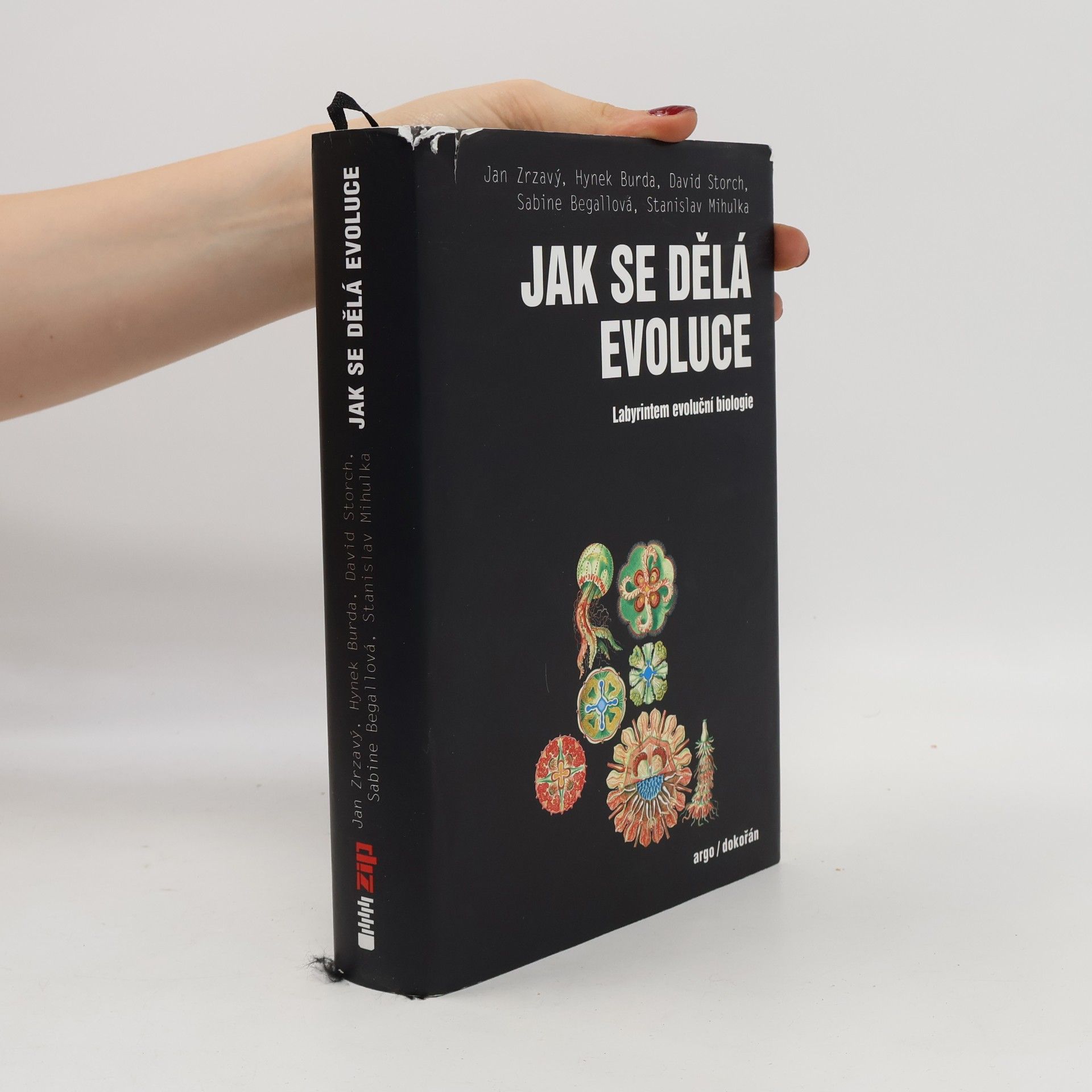 Sabine Begall Jak se dělá evoluce: Labyrintem evoluční biologie