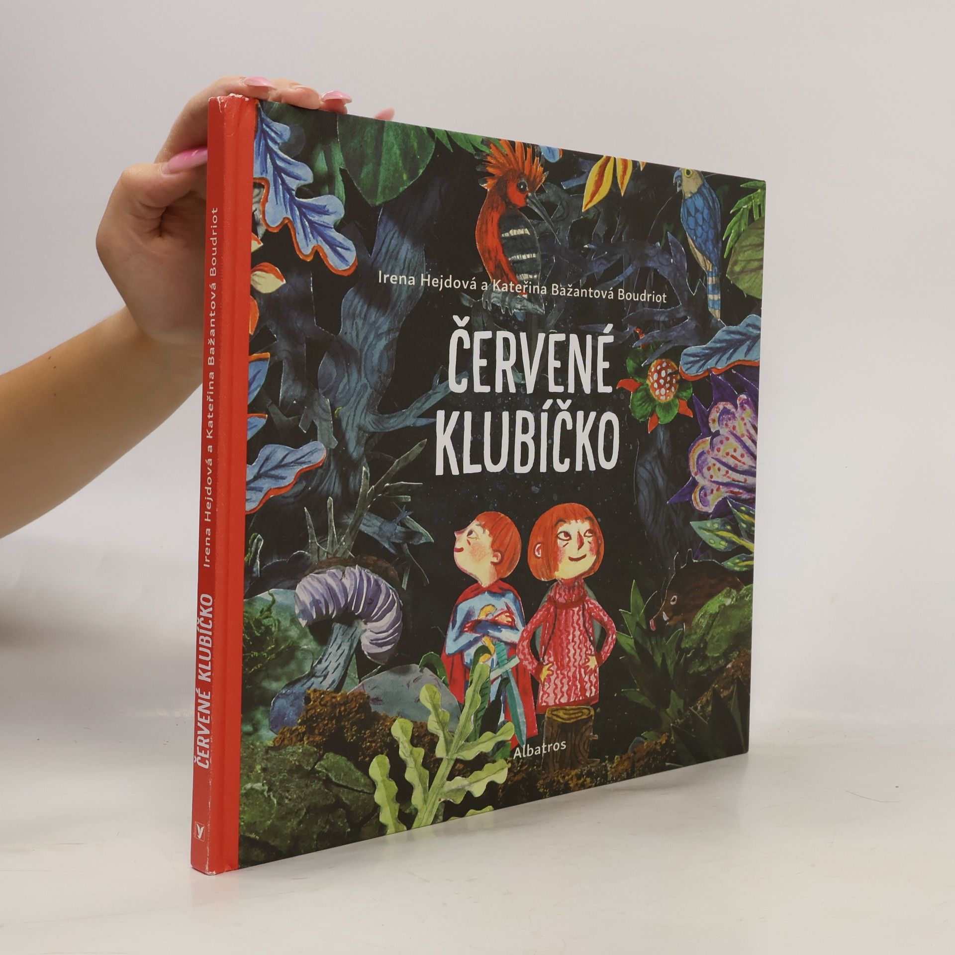 Irena Hejdová Červené klubíčko