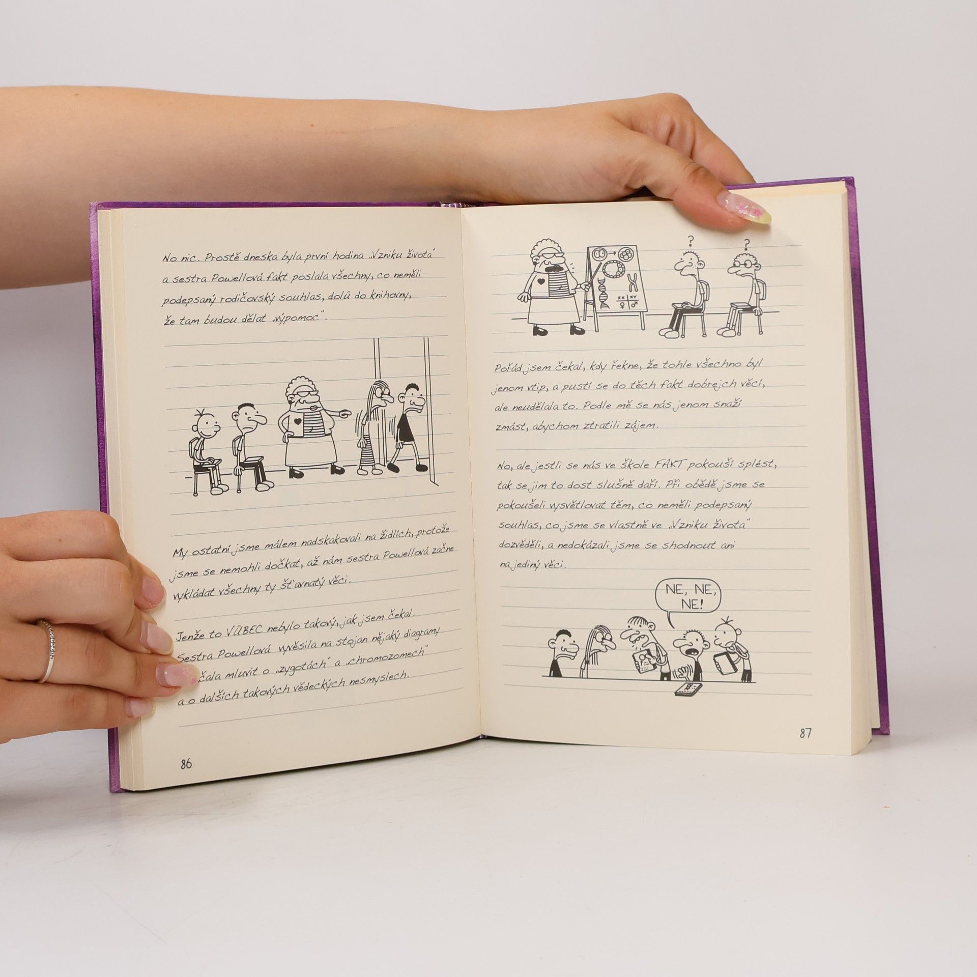 Jeff Kinney Deník malého poseroutky 5. Ošklivá pravda