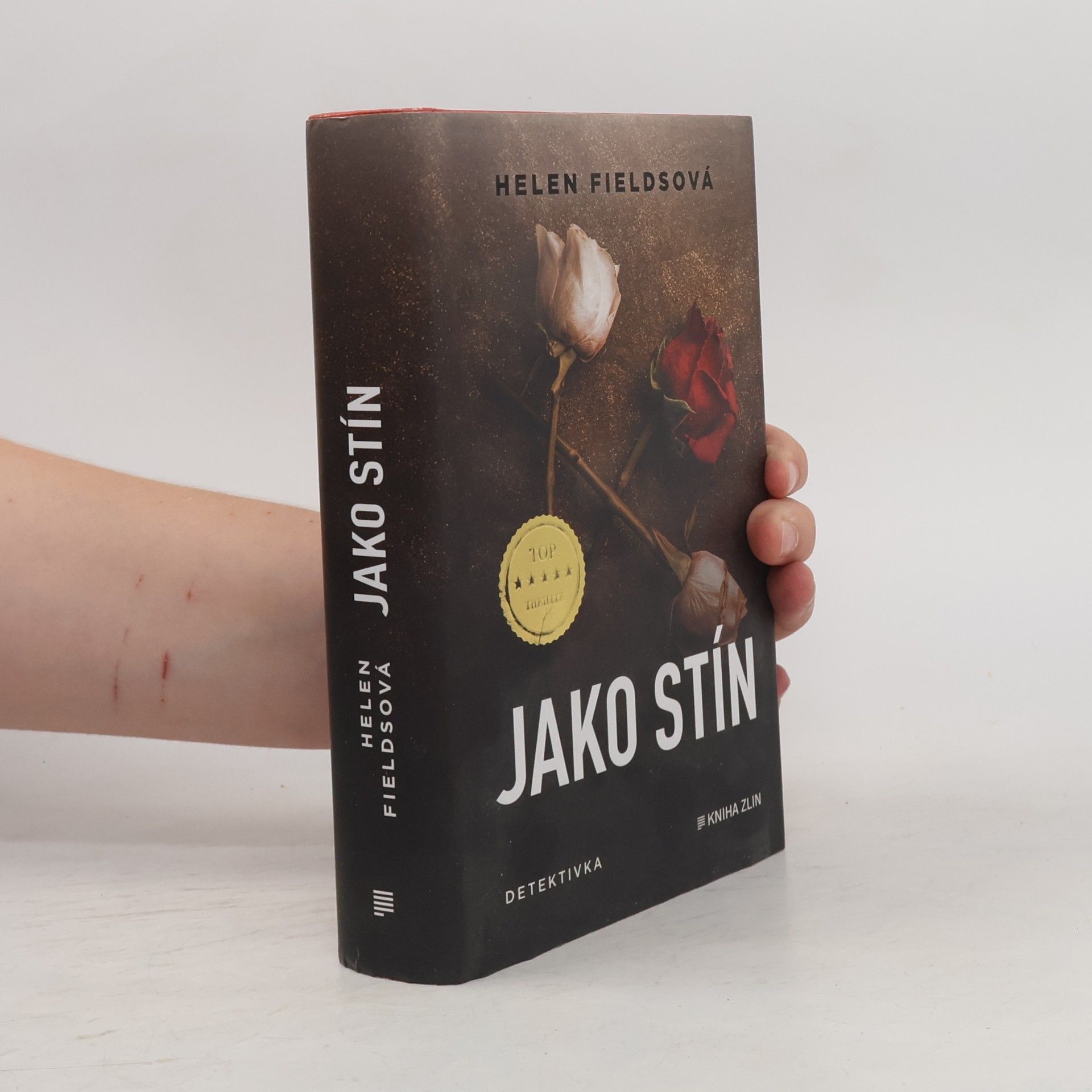 Helen Fields Jako stín