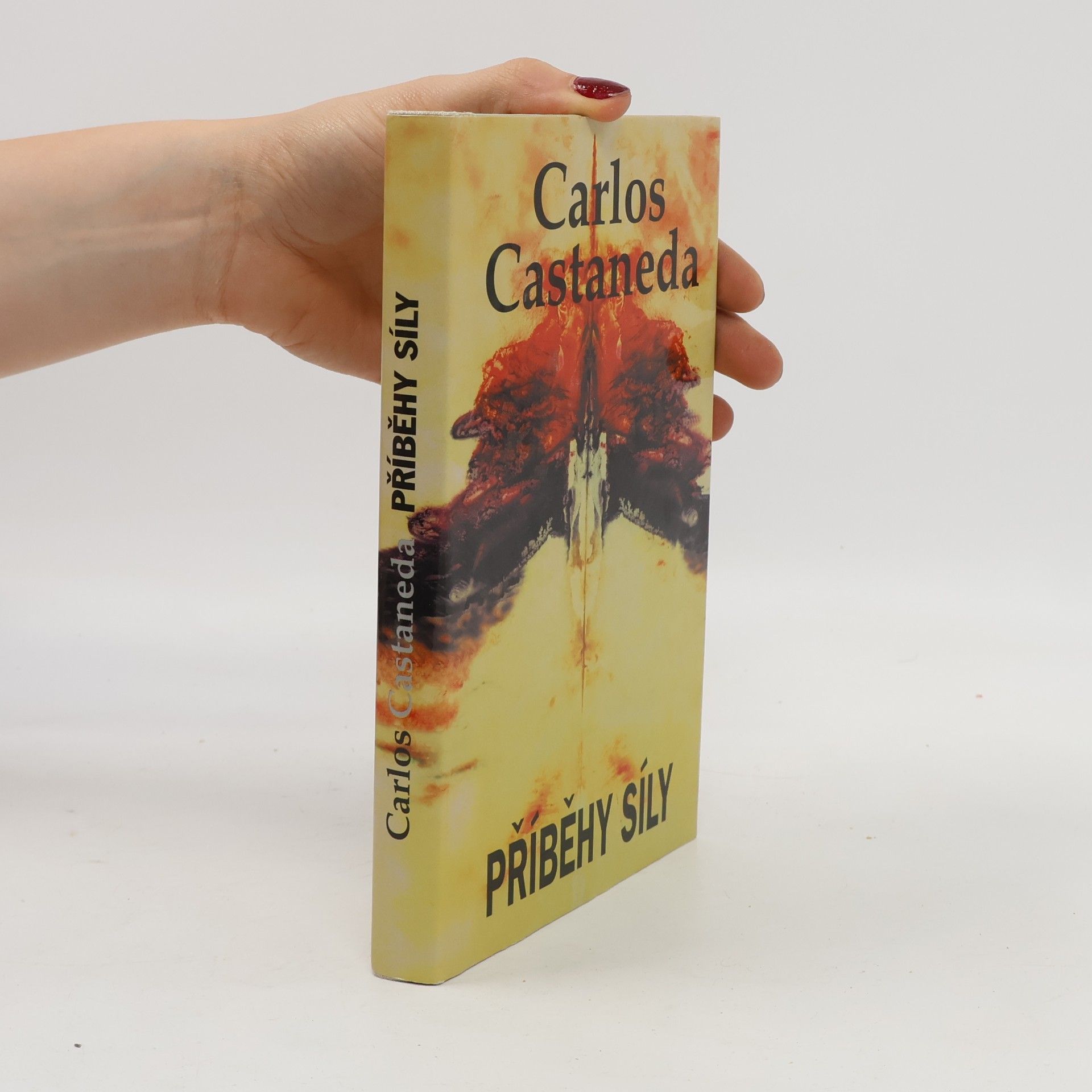 Carlos Castaneda Příběhy síly