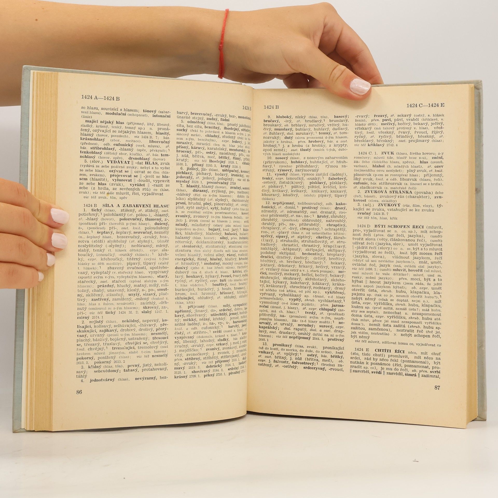 Autorenkollektiv Český slovník věcný a synonymický 2
