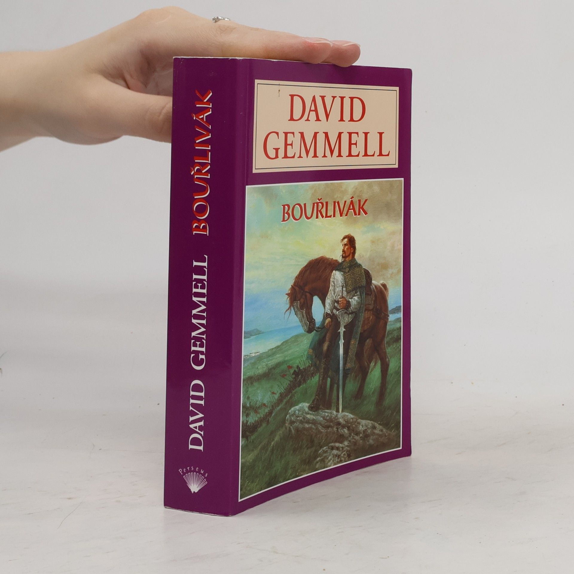 David Gemmell Bouřlivák