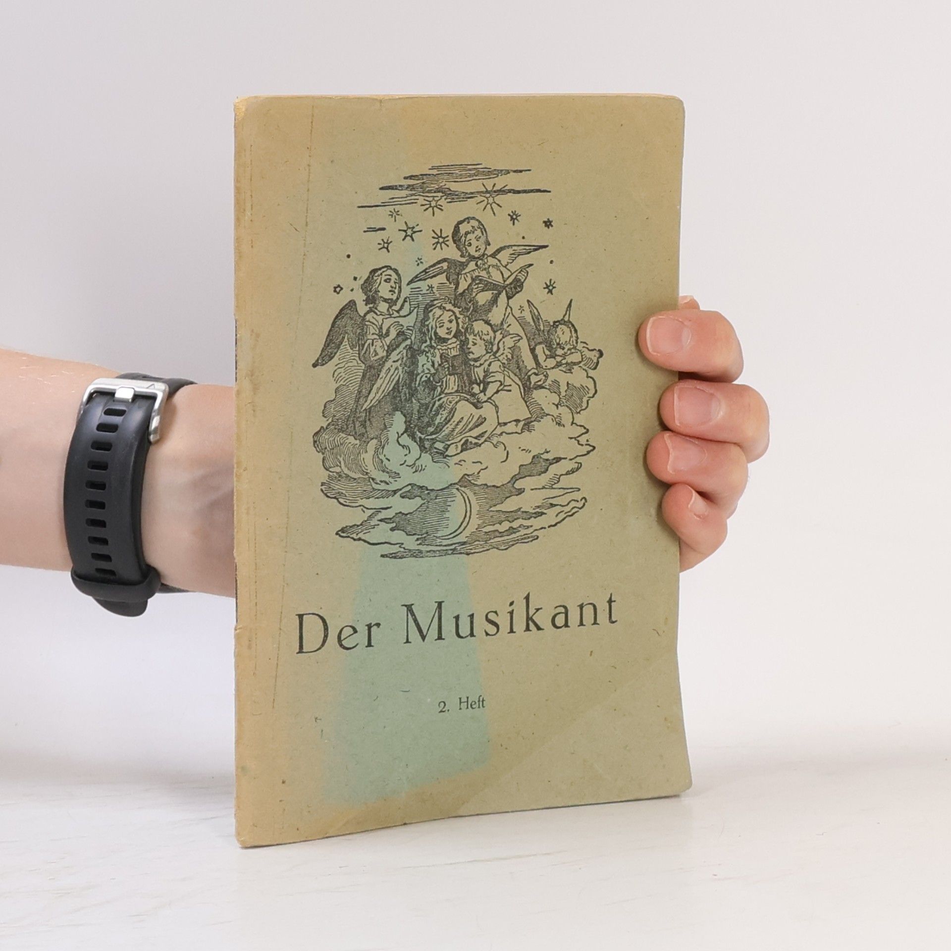 Der Musikant 2