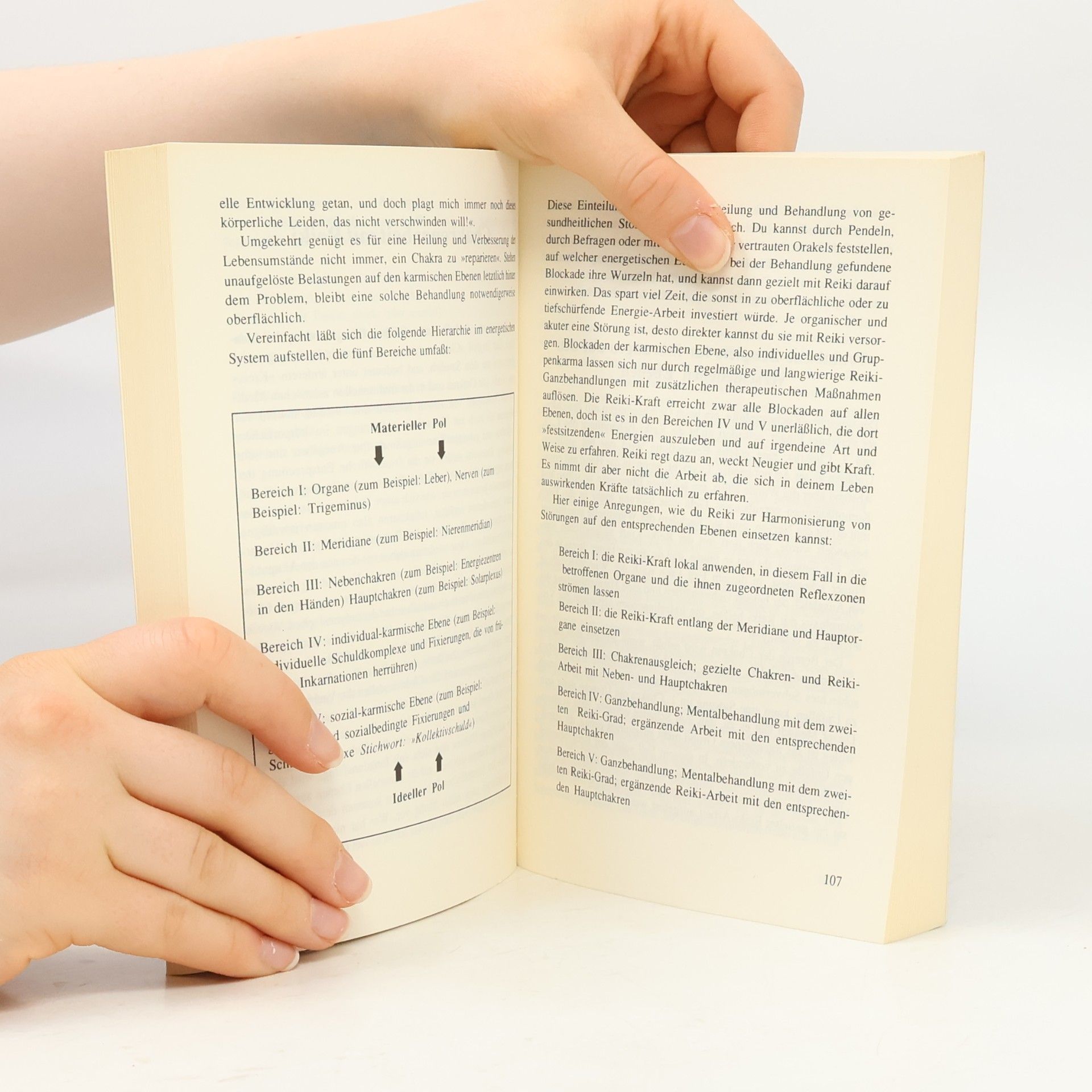 Walter Lübeck Das Reiki Handbuch