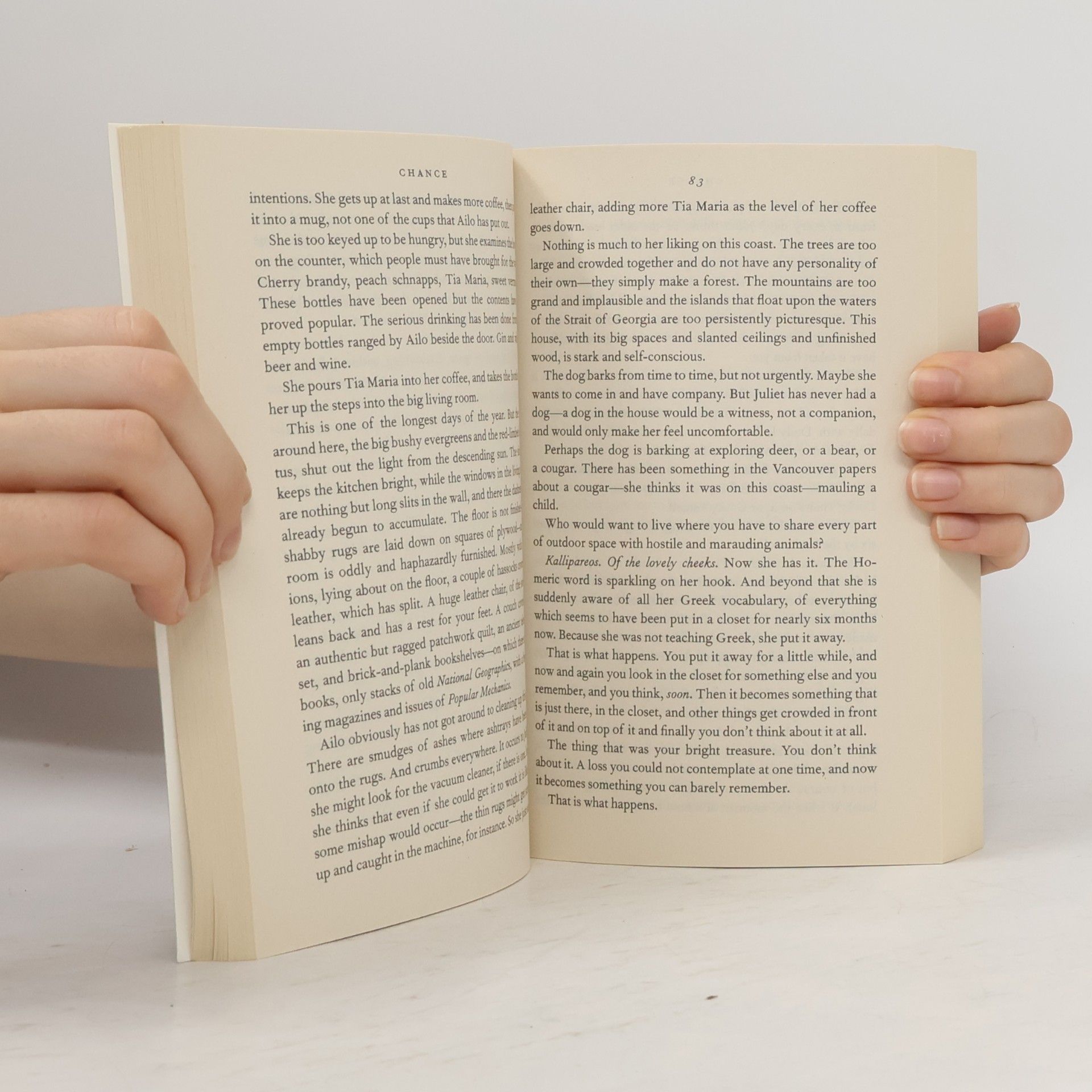 Alice Munro Runaway