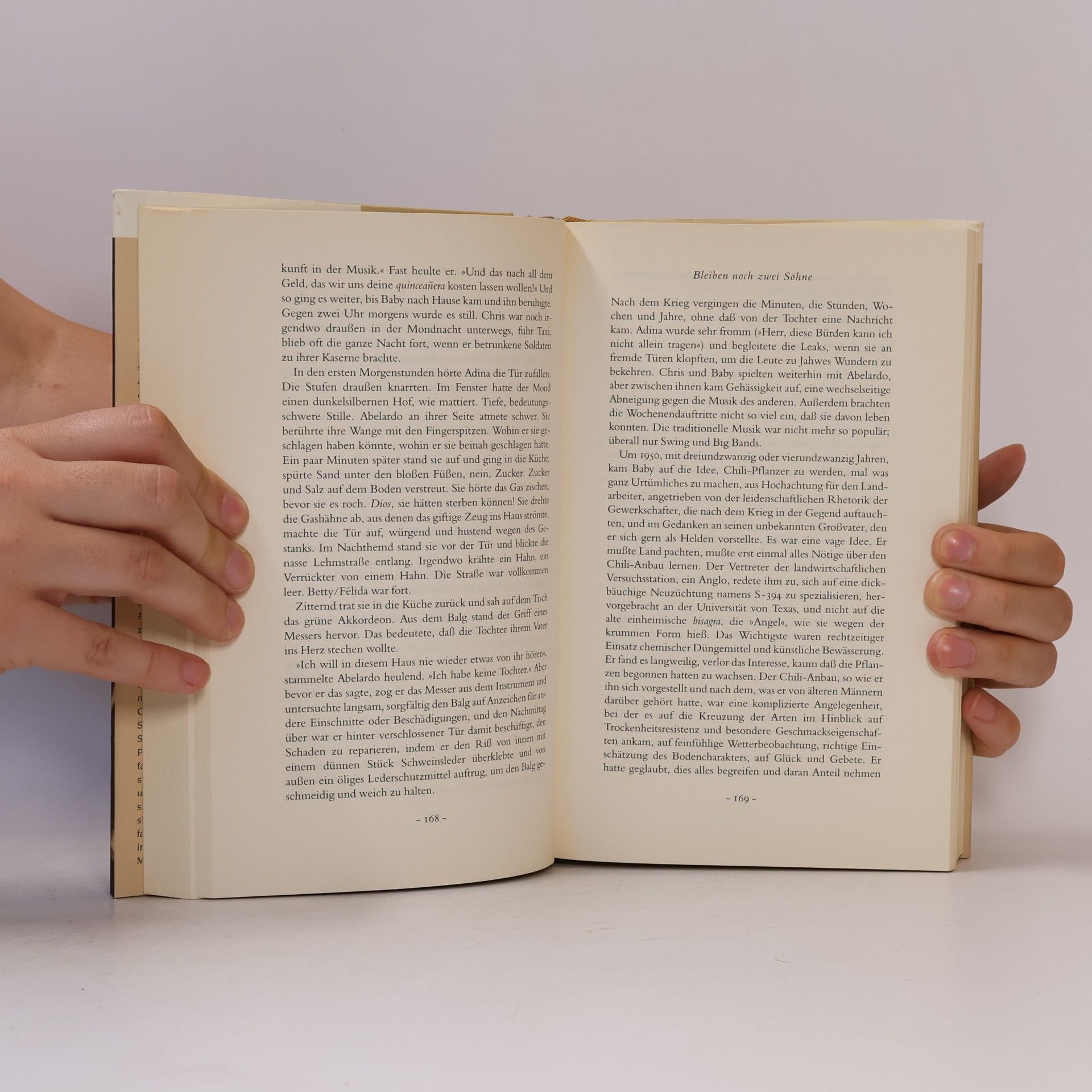 Annie Proulx Das grüne Akkordeon