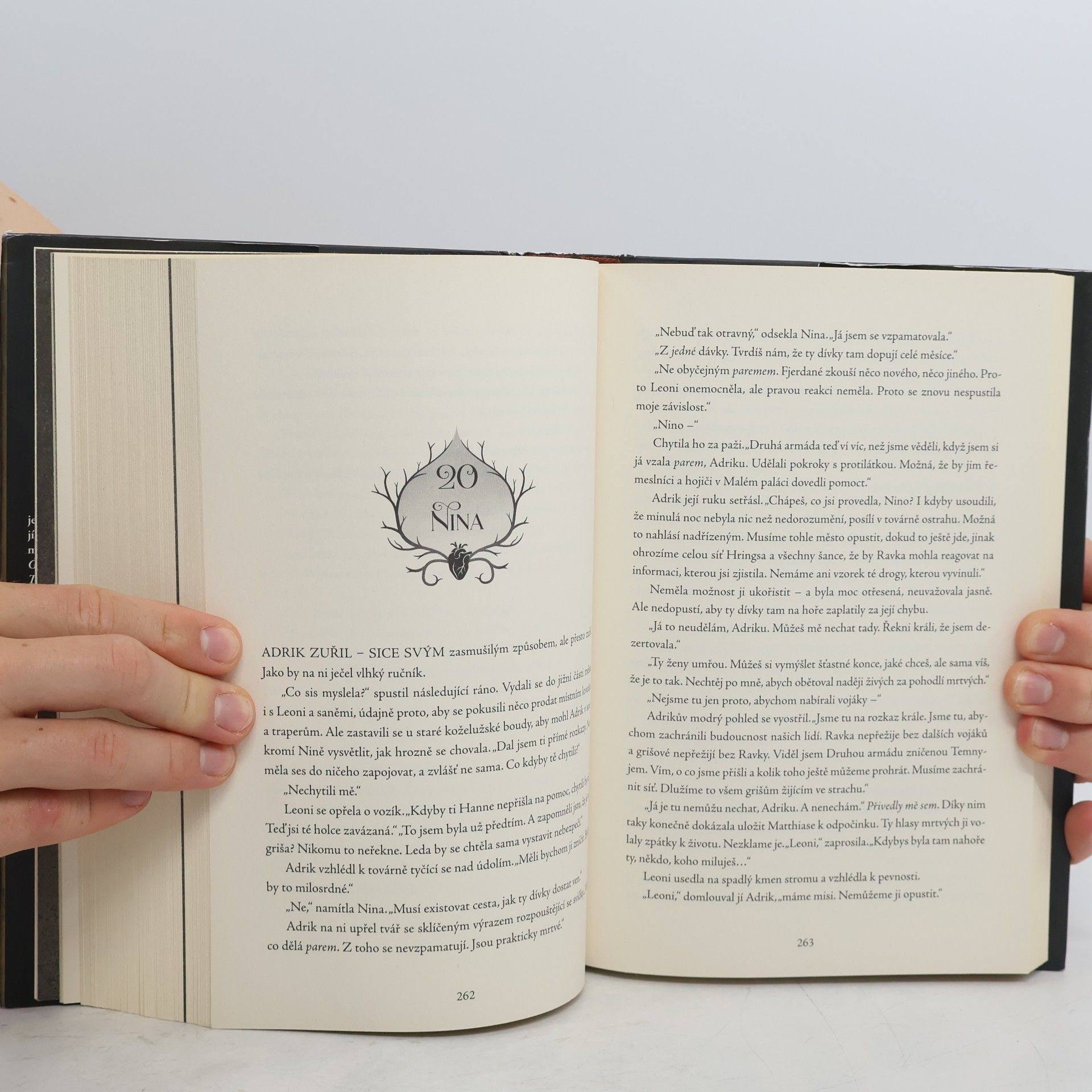 Leigh Bardugo Zjizvený král