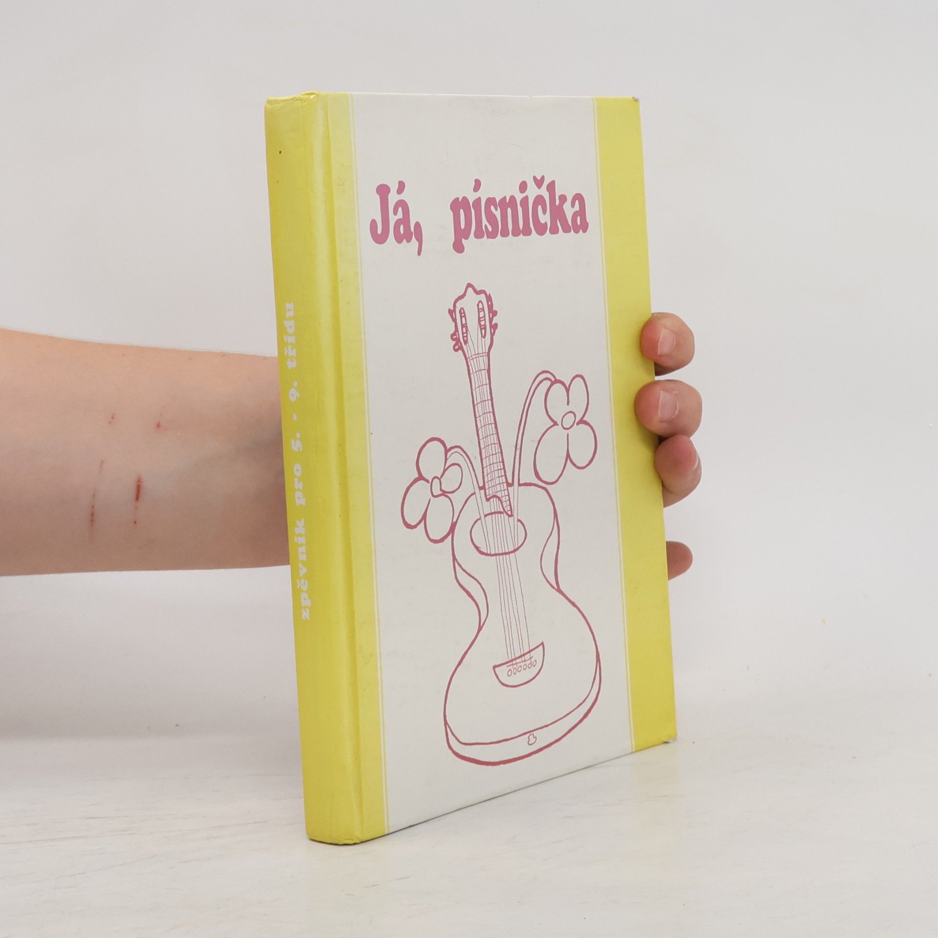Collectif d'auteurs Já písnička 2