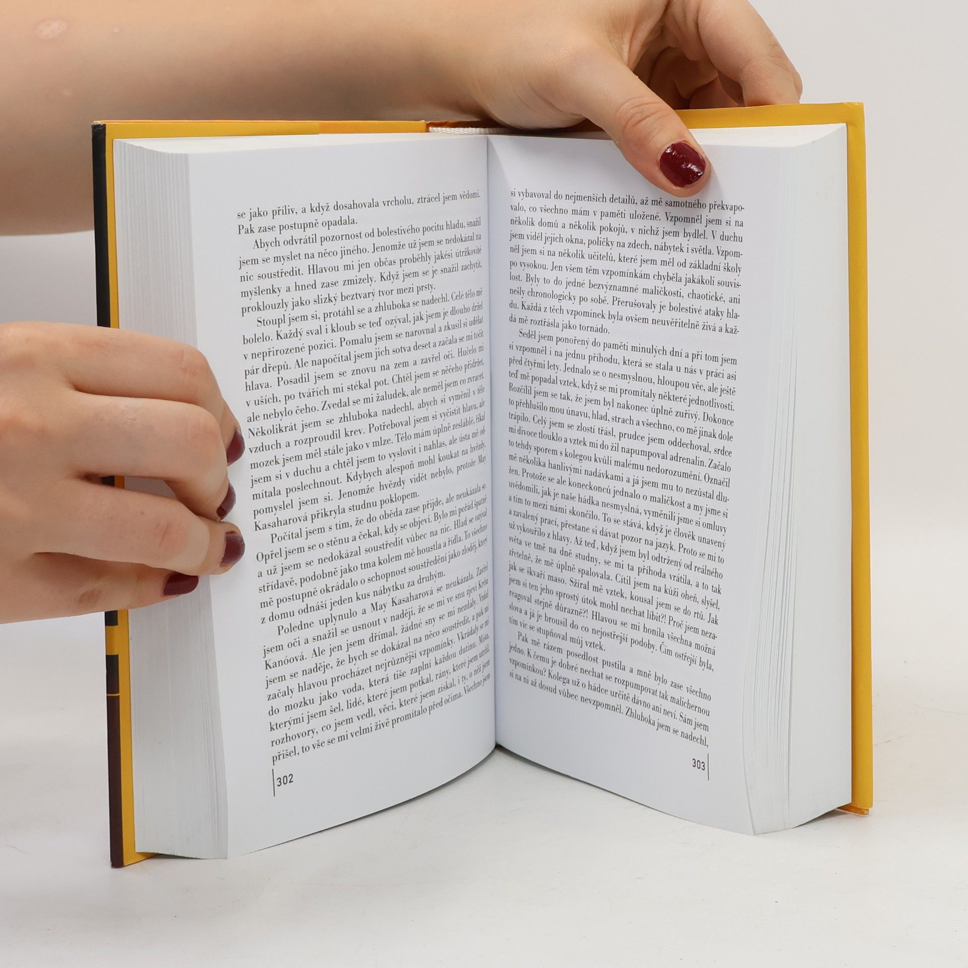 Haruki Murakami Kronika ptáčka na klíček
