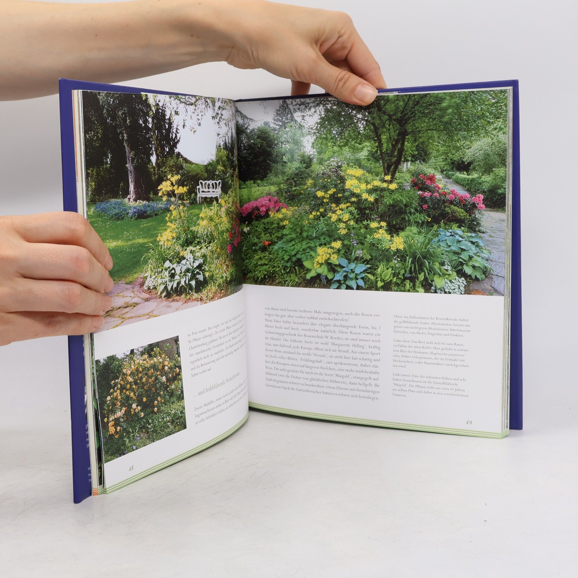 Marianne Förster Der Garten meines Vaters Karl Foerster