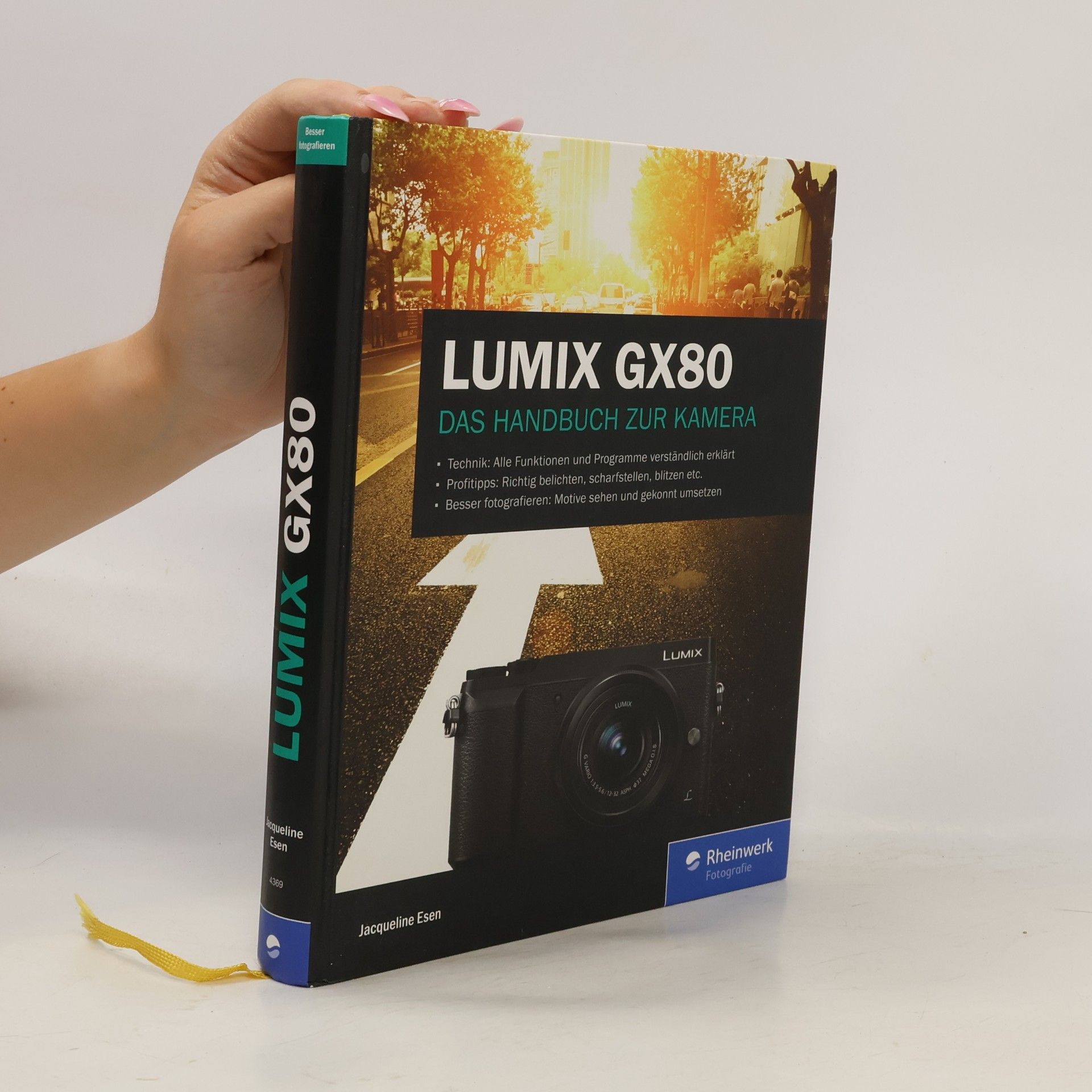 Lumix GX80