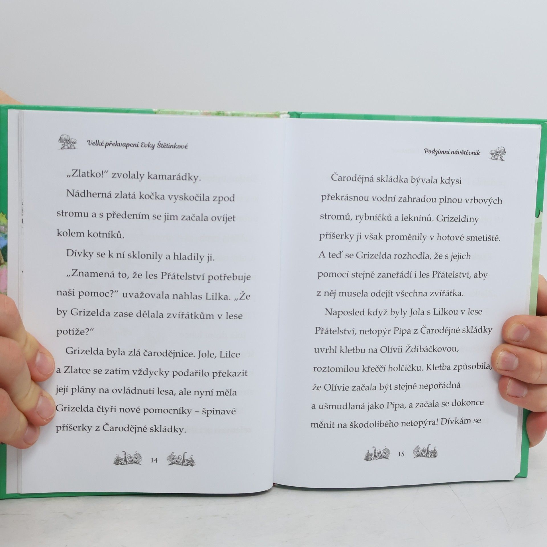 Daisy Meadows Velké překvapení Evky Štětinkové. Kamarádky kouzelných zvířátek
