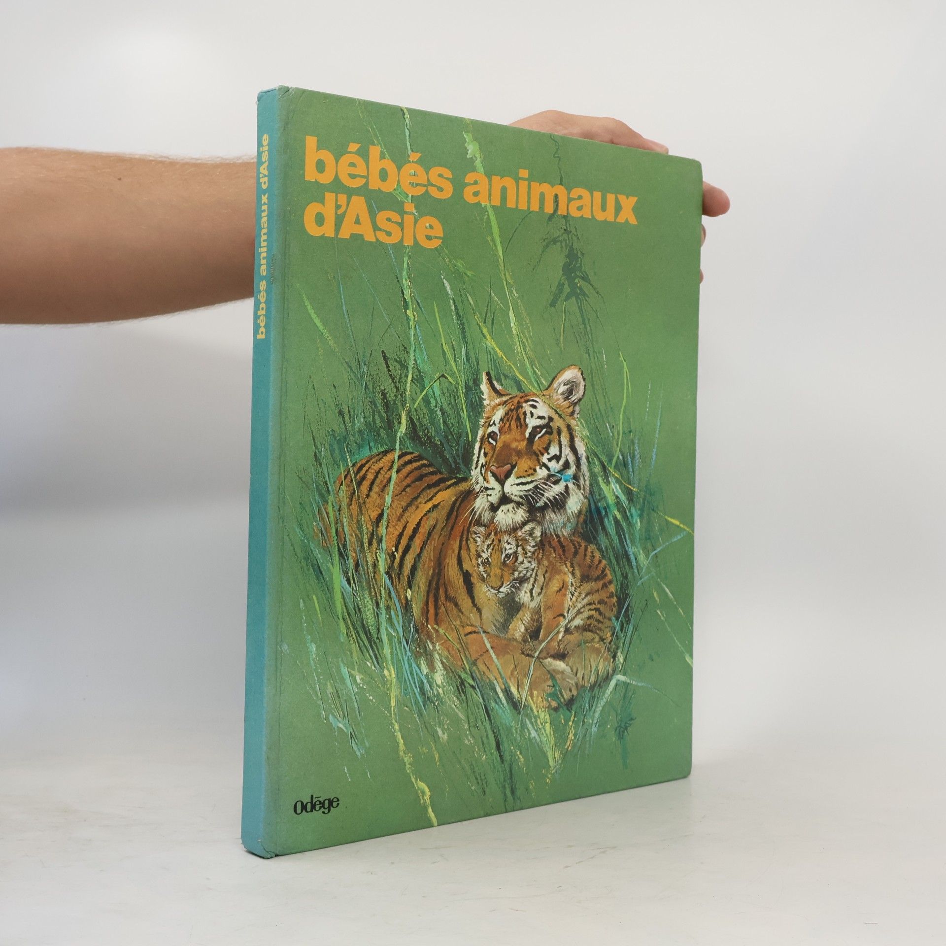 Autorenkollektiv Bébés animaux d'Asie