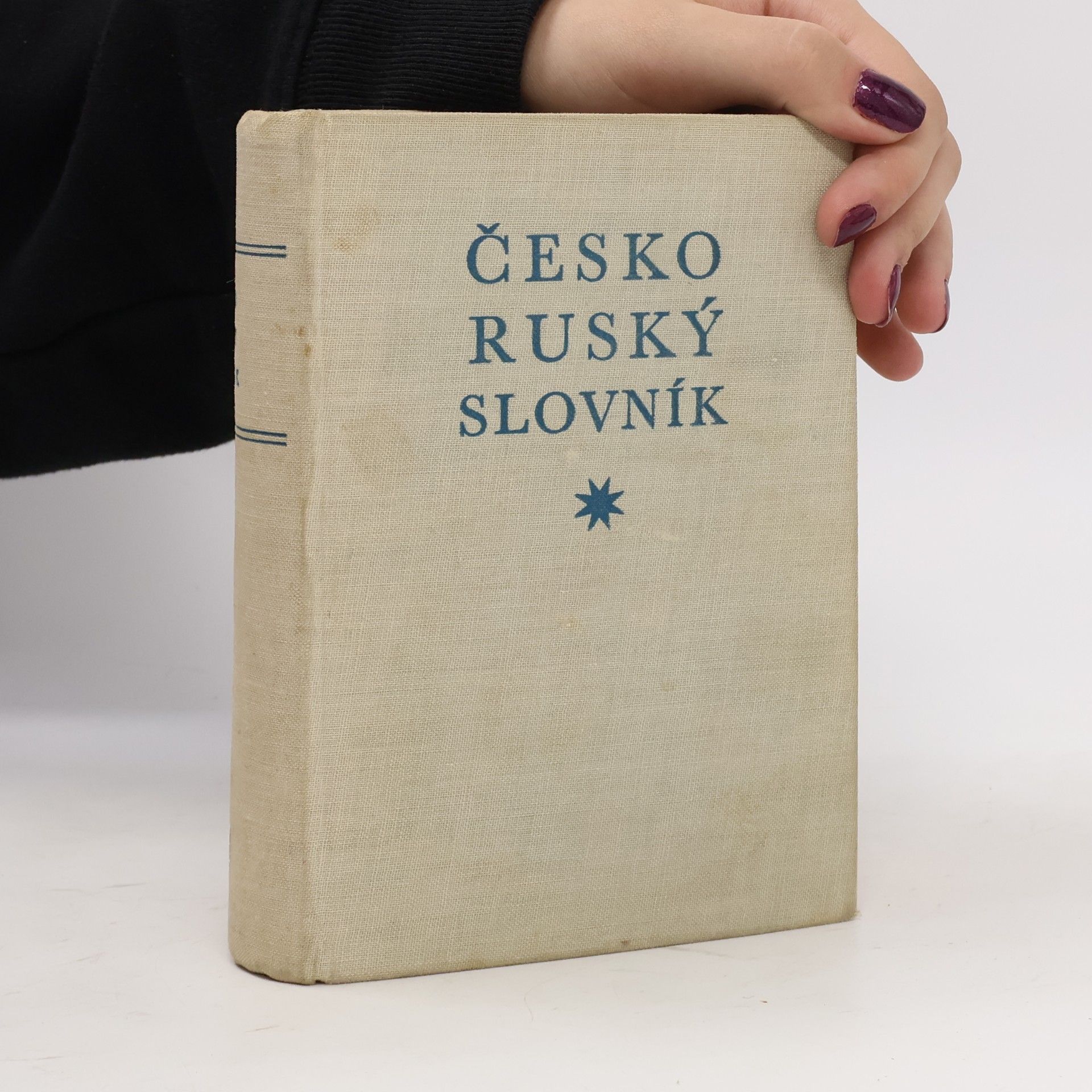 Alexandra Schierová Česko-ruský slovník