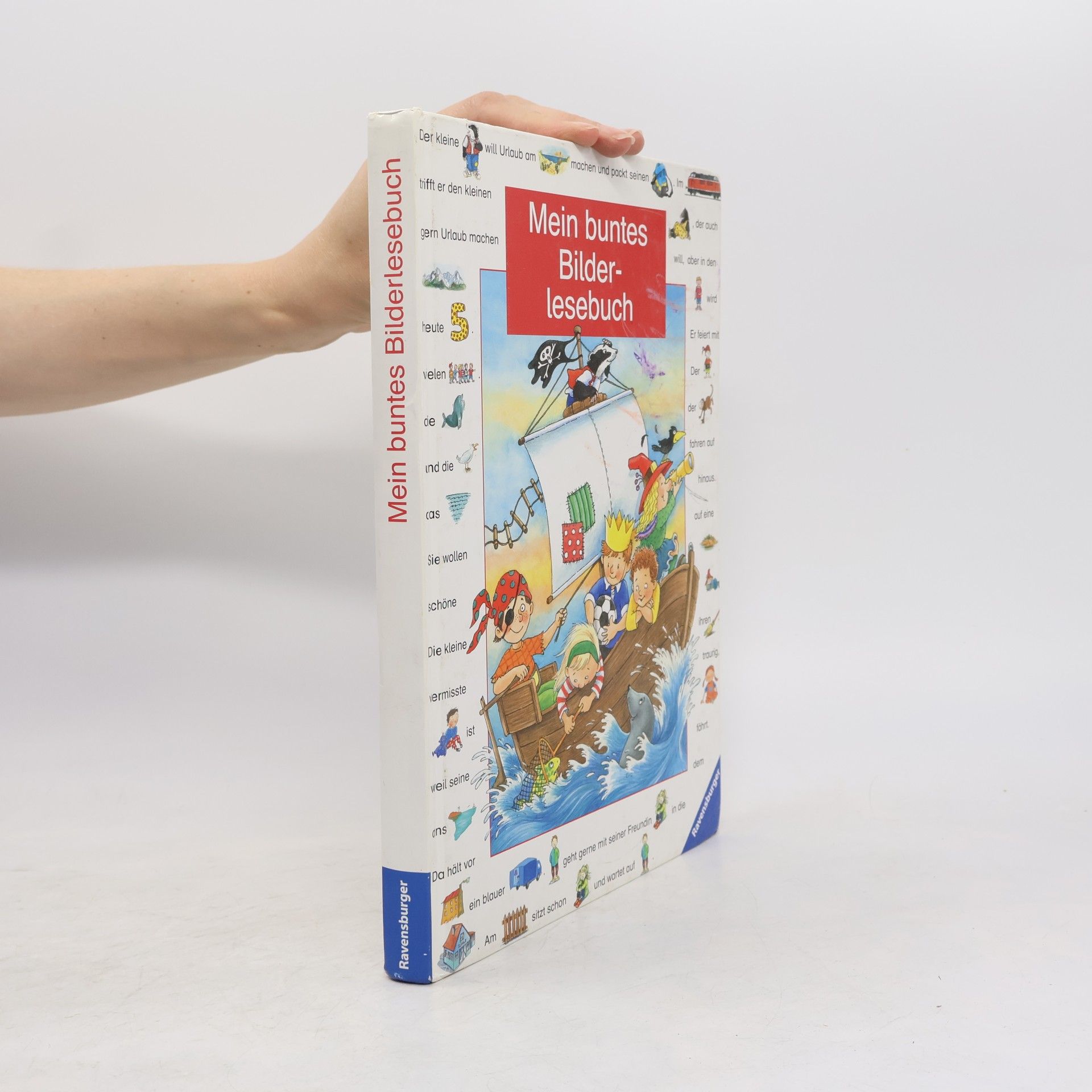 Autorenkollektiv Mein buntes Bilderlesebuch