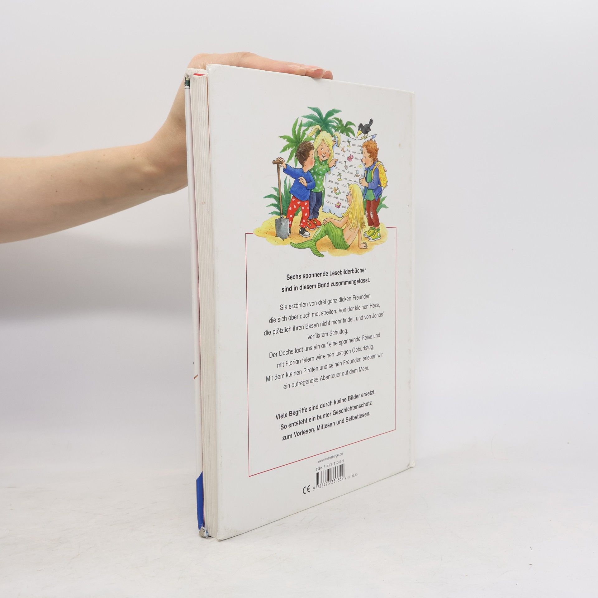 Autorenkollektiv Mein buntes Bilderlesebuch