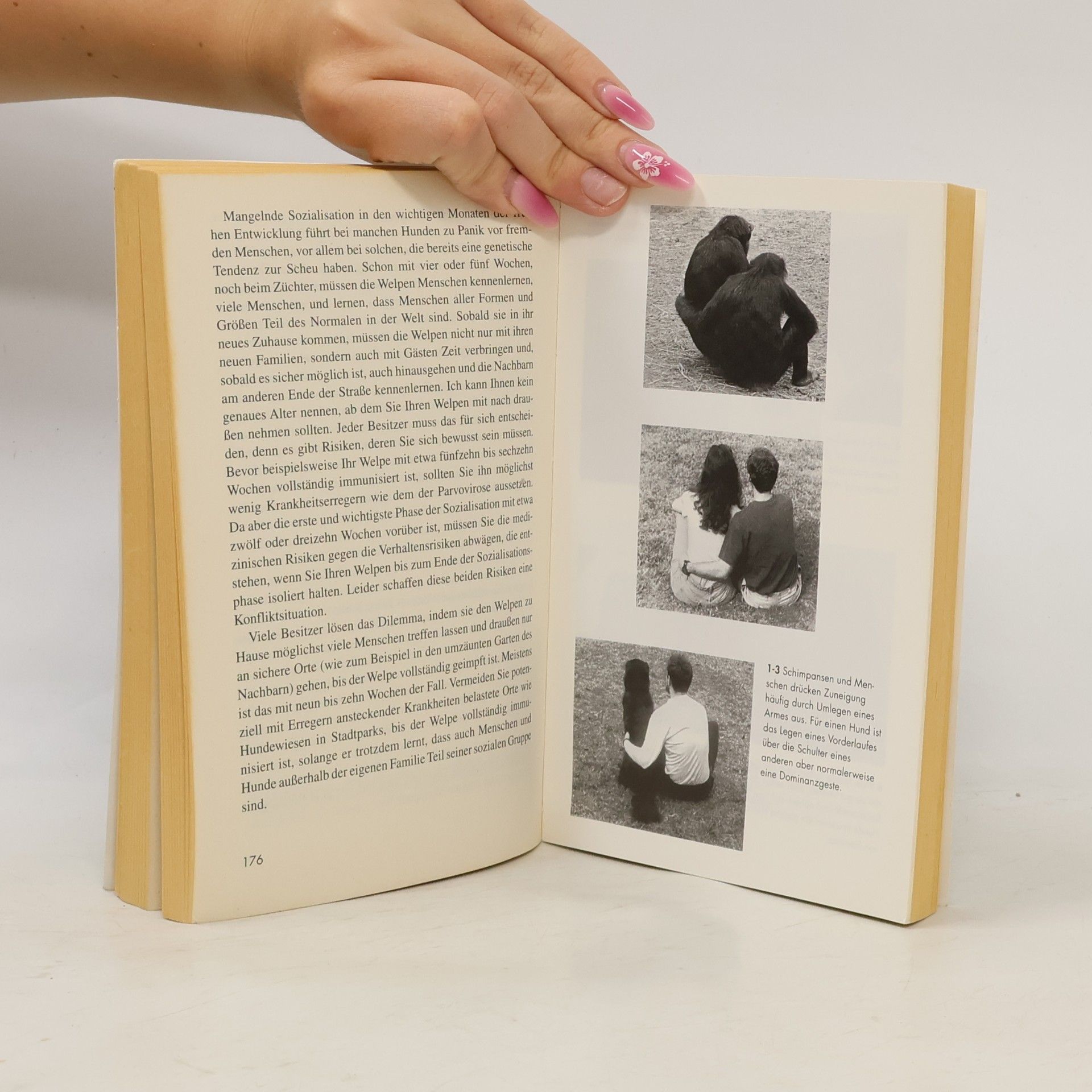 Patricia McConnel Das andere Ende der Leine