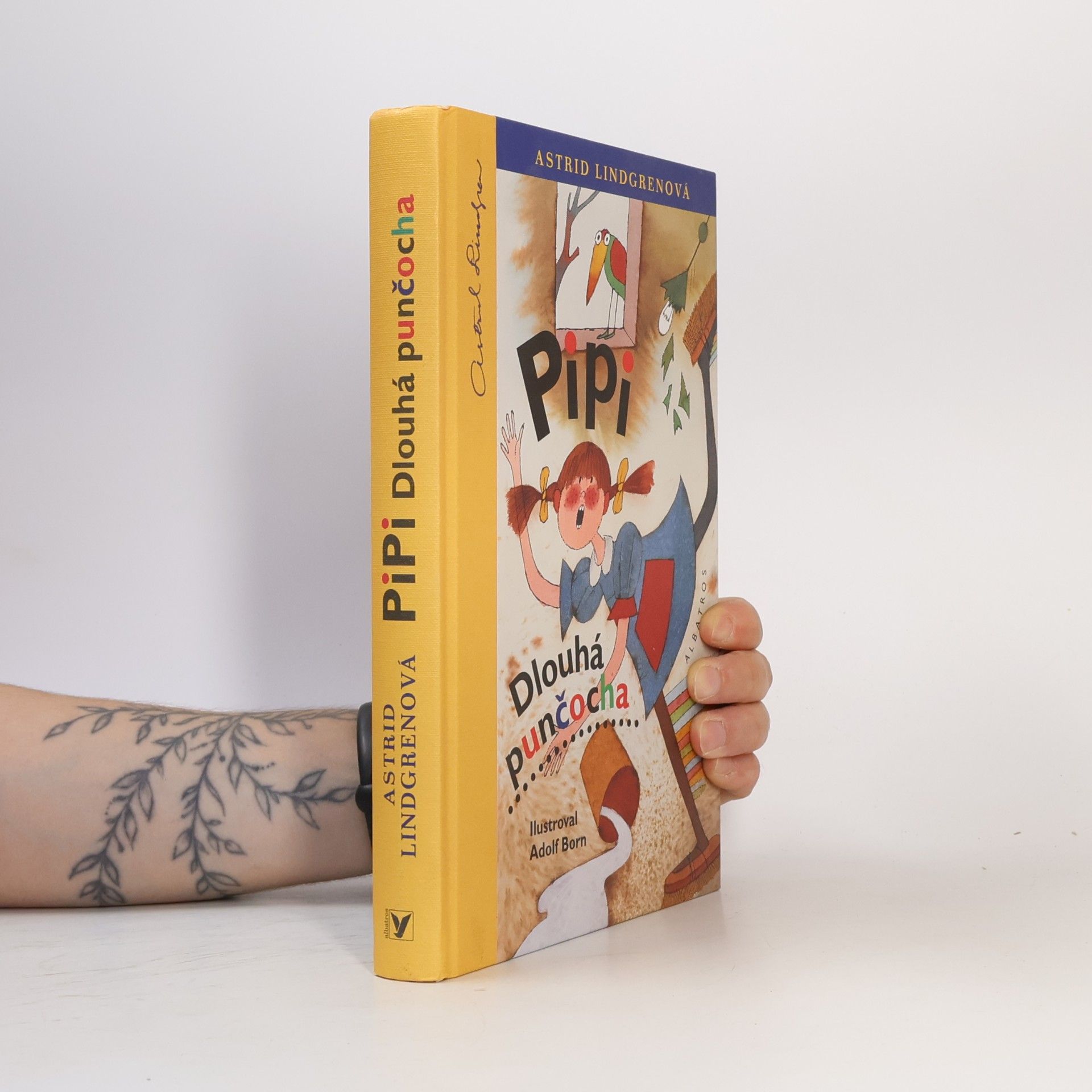 Astrid Lindgren Pipi Dlouhá punčocha