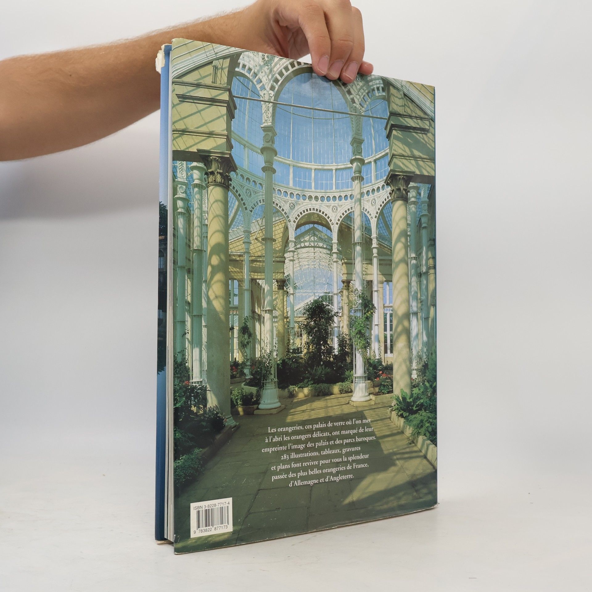 Sylvia Saudan-Skira Orangeries
